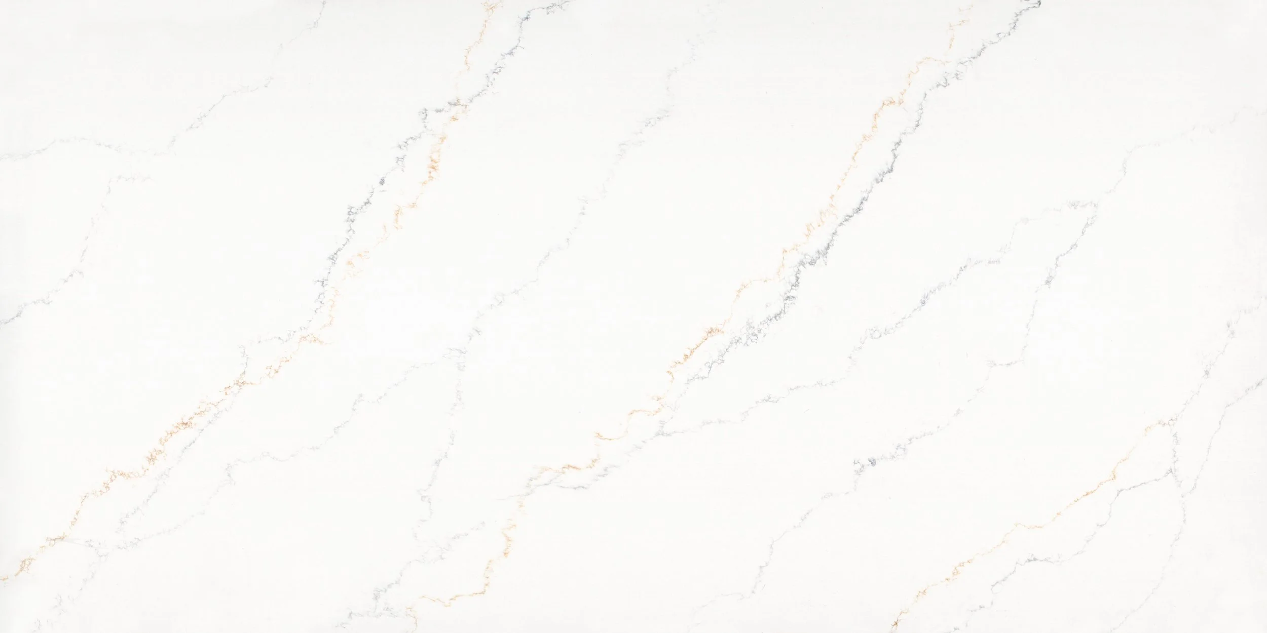 Venatino Duo
(PSE2402)