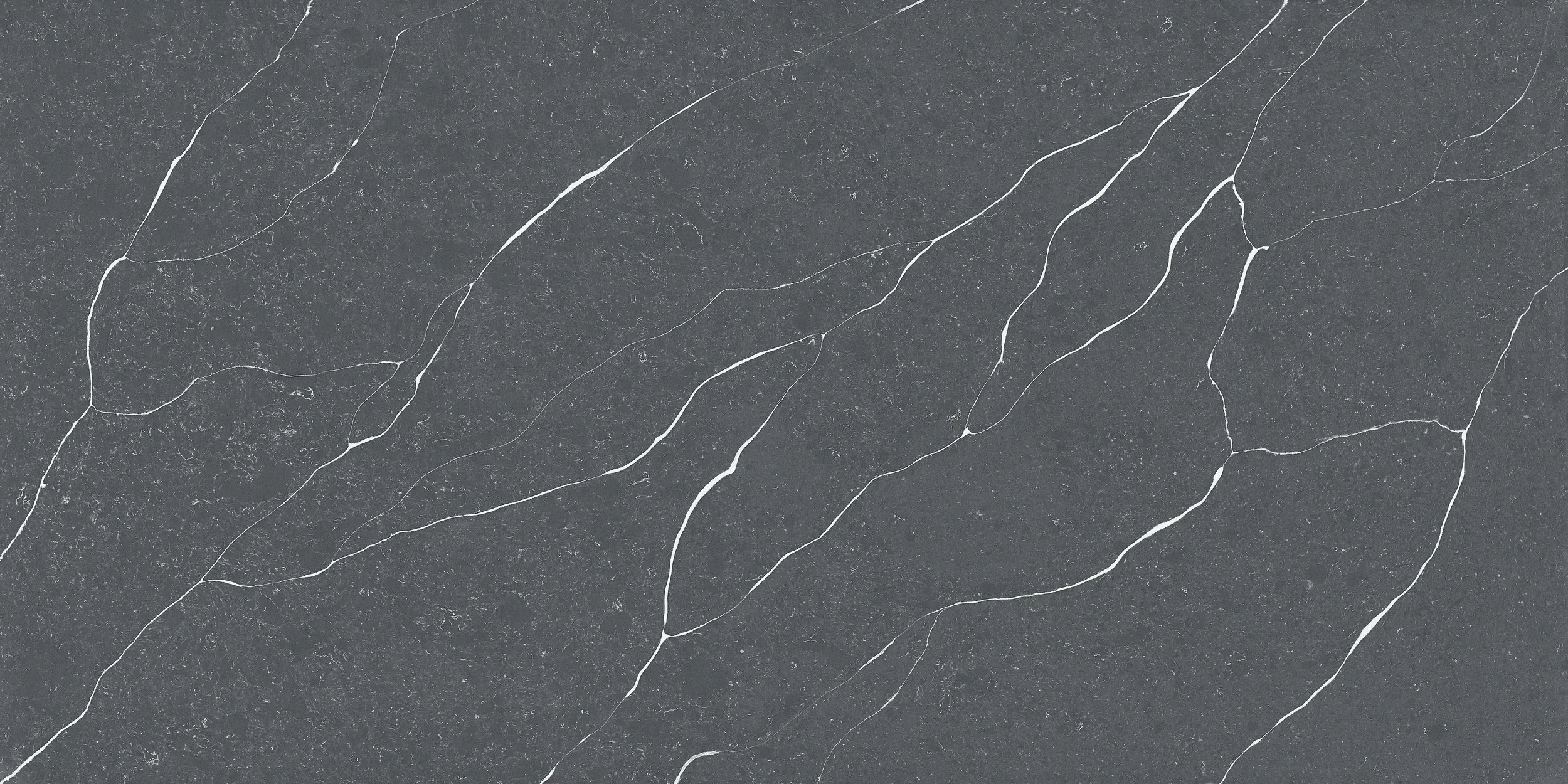 ASHER GRAY (PSE2198)