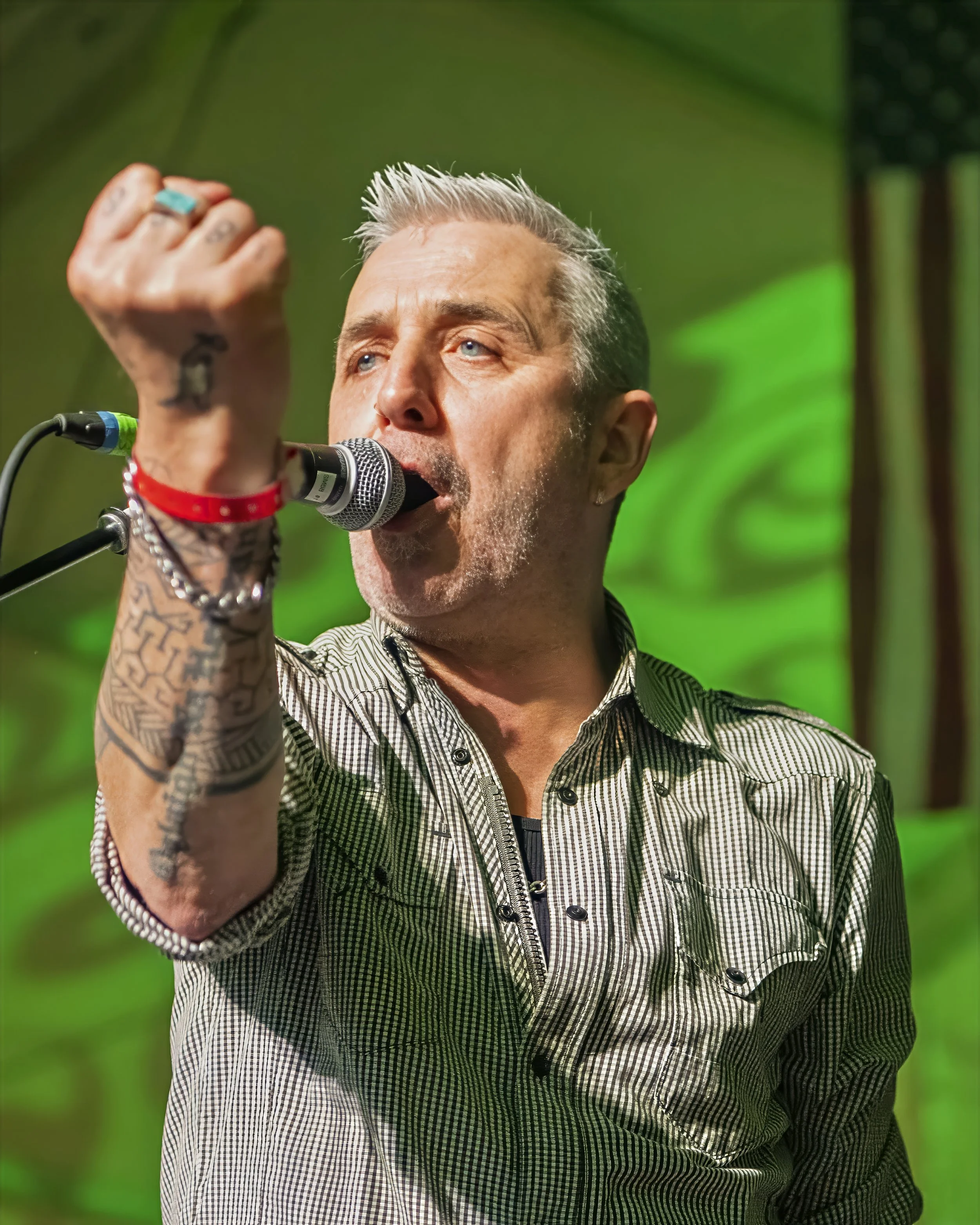 Sean Daly of Sean Daly and The Shams performing live, fist raised, singing into a microphone.
