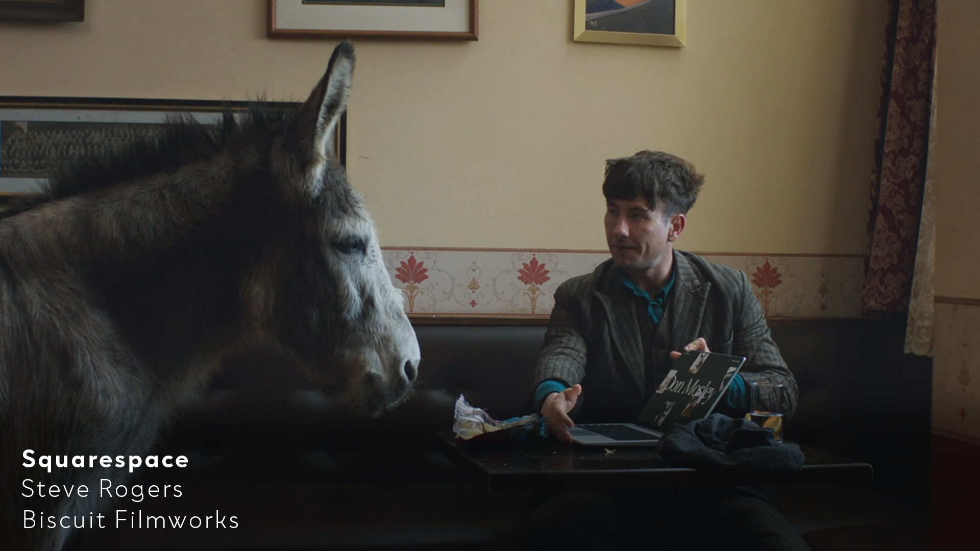 Squarespace - Steve Rogers