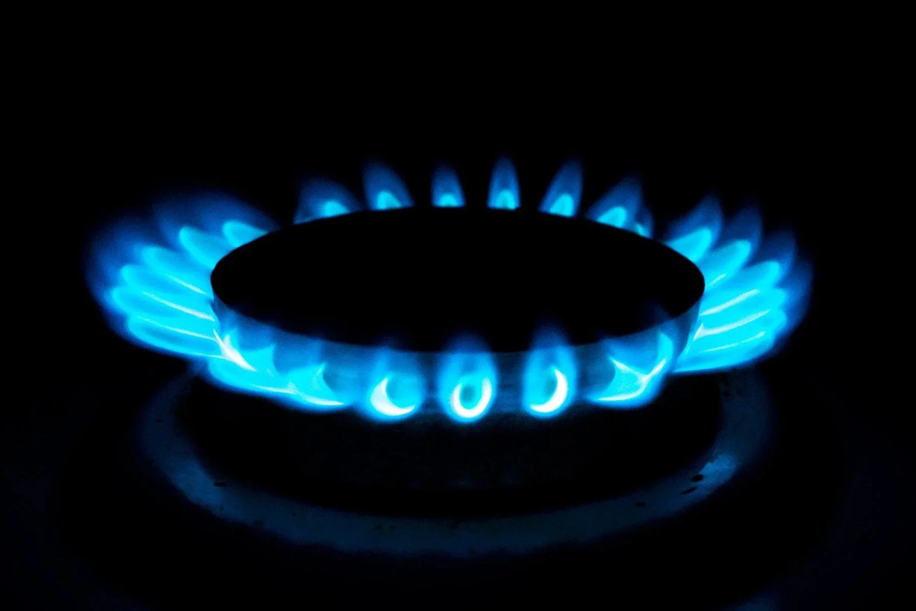 A gas stove burner ignited with blue flames in a dark environment.