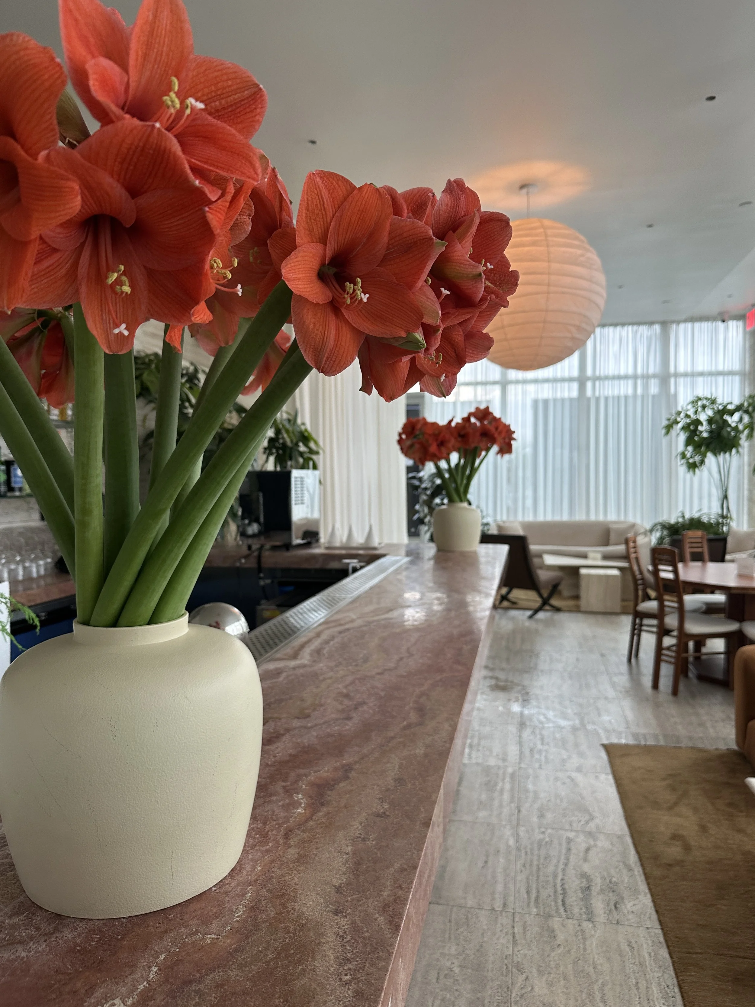 Red amaryllis flowers in a white vase on a marble countertop in a bright, modern lounge with large windows, a hanging paper lantern, and seating area.