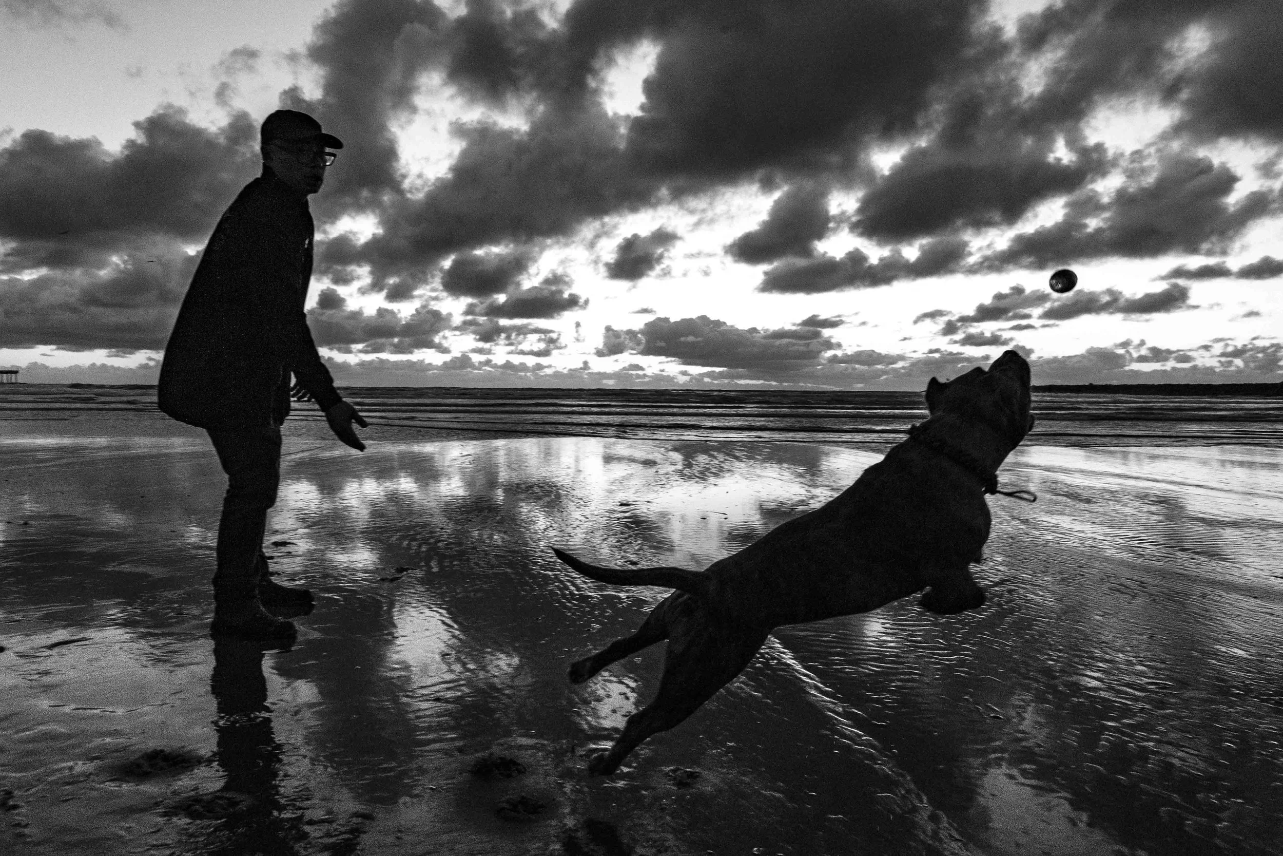 DogBeach-9982.JPG