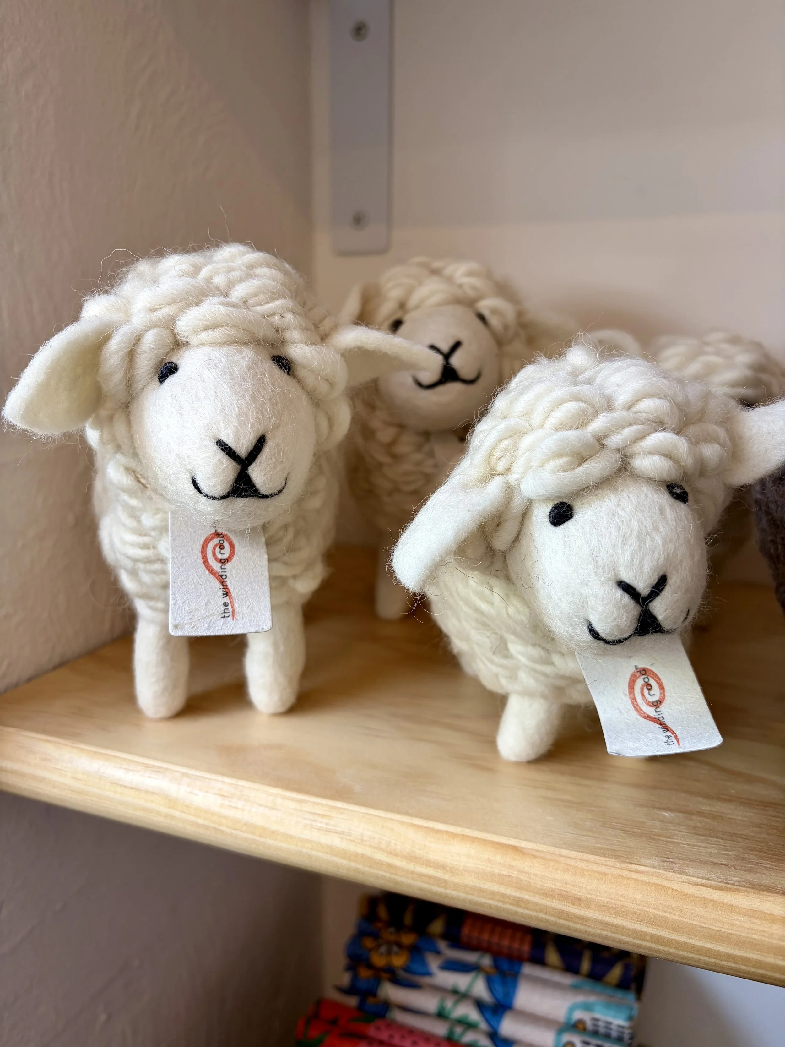 Cutest Wool Sheep