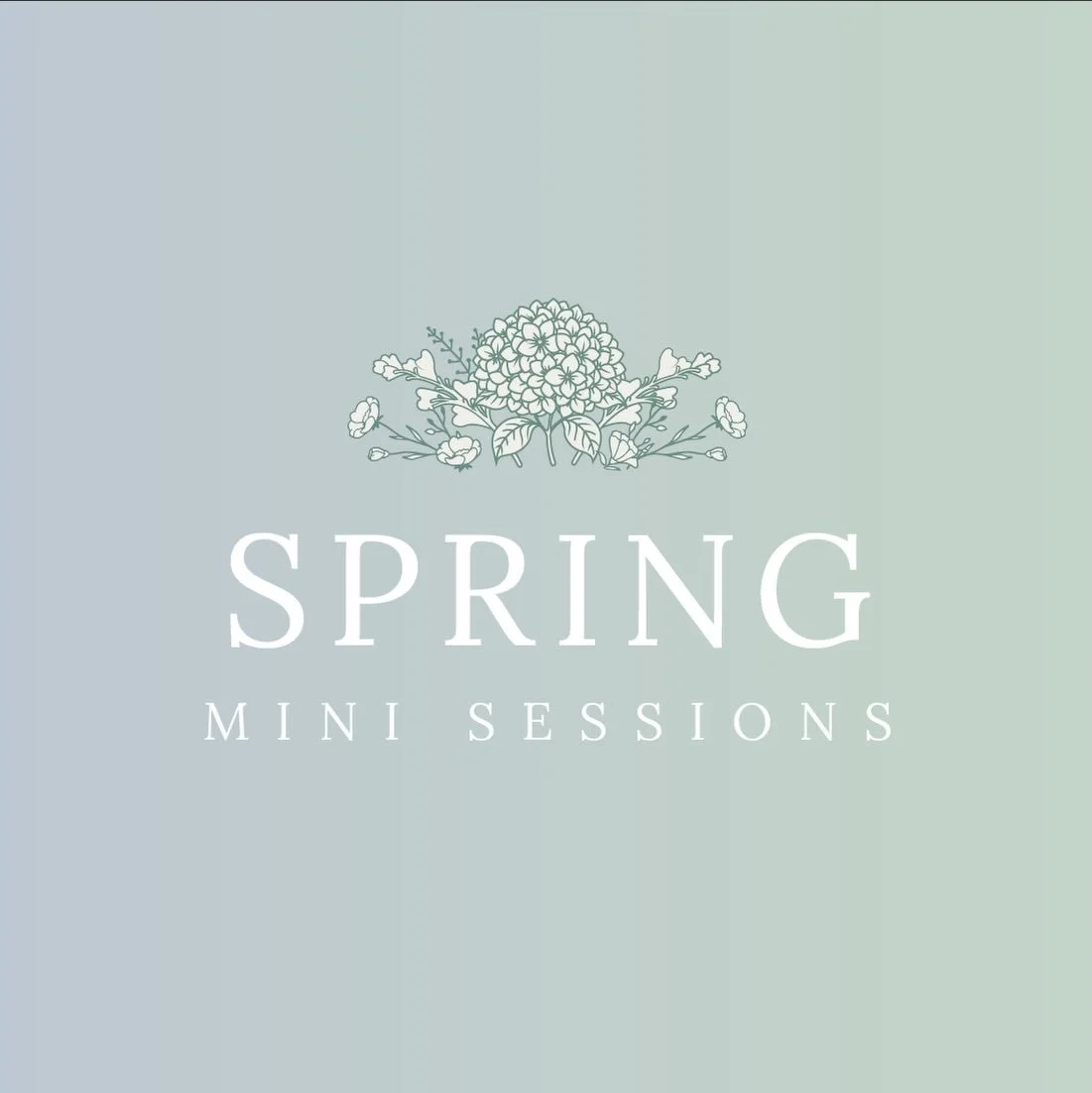 Spring family mini sessions are officially open! ✨ I&rsquo;m currently refreshing my portfolio and opening up a limited number of spring dates!

The smallest details are my favorite to capture&mdash;from the quiet, unposed moments to the genuine conn