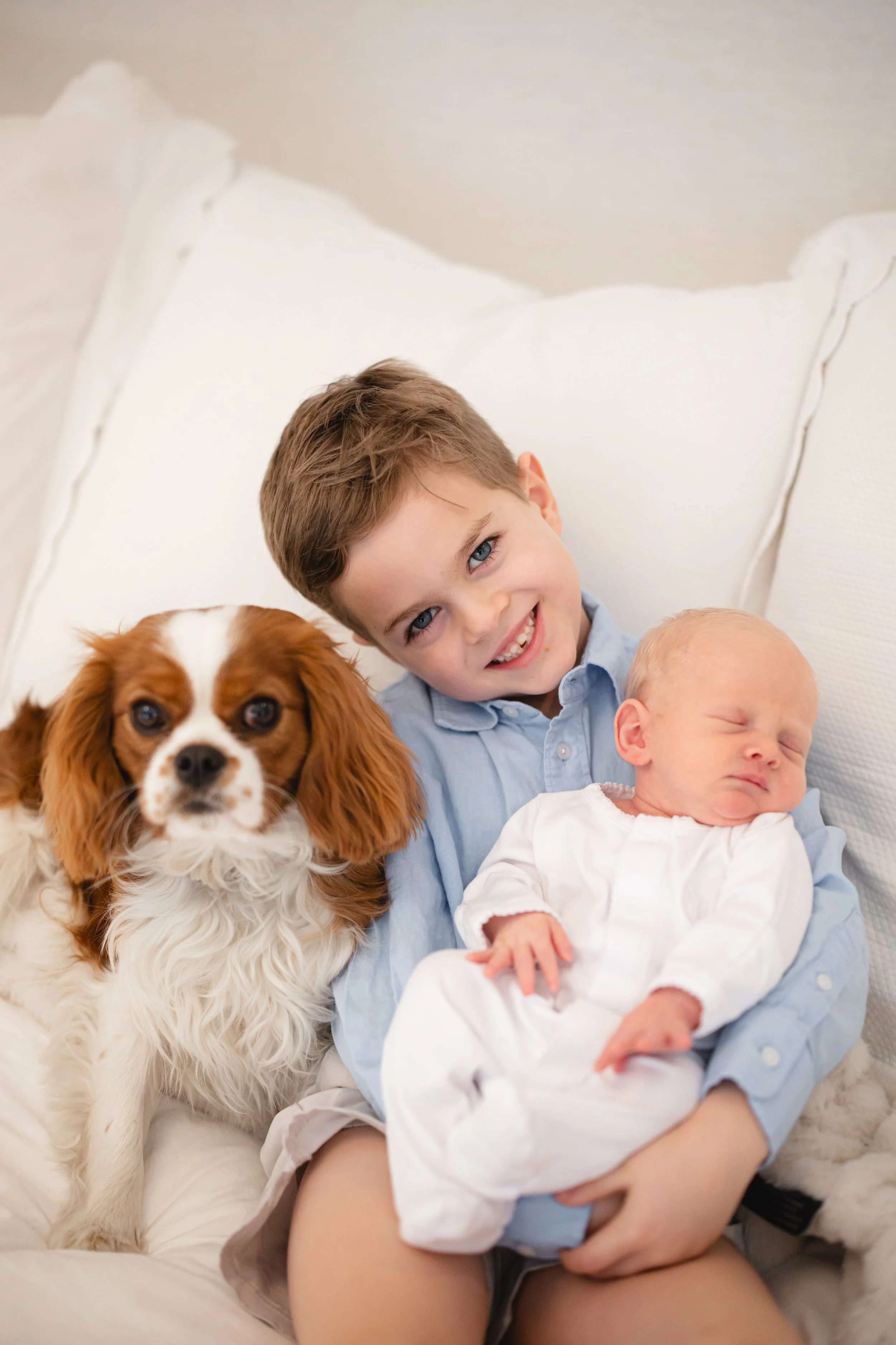 A young boy with blue eyes and brown hair smiling, holding a sleeping baby dressed in white, with a Cavalier King Charles Spaniel dog sitting beside him. They are sitting on a white couch with pillows in the background.