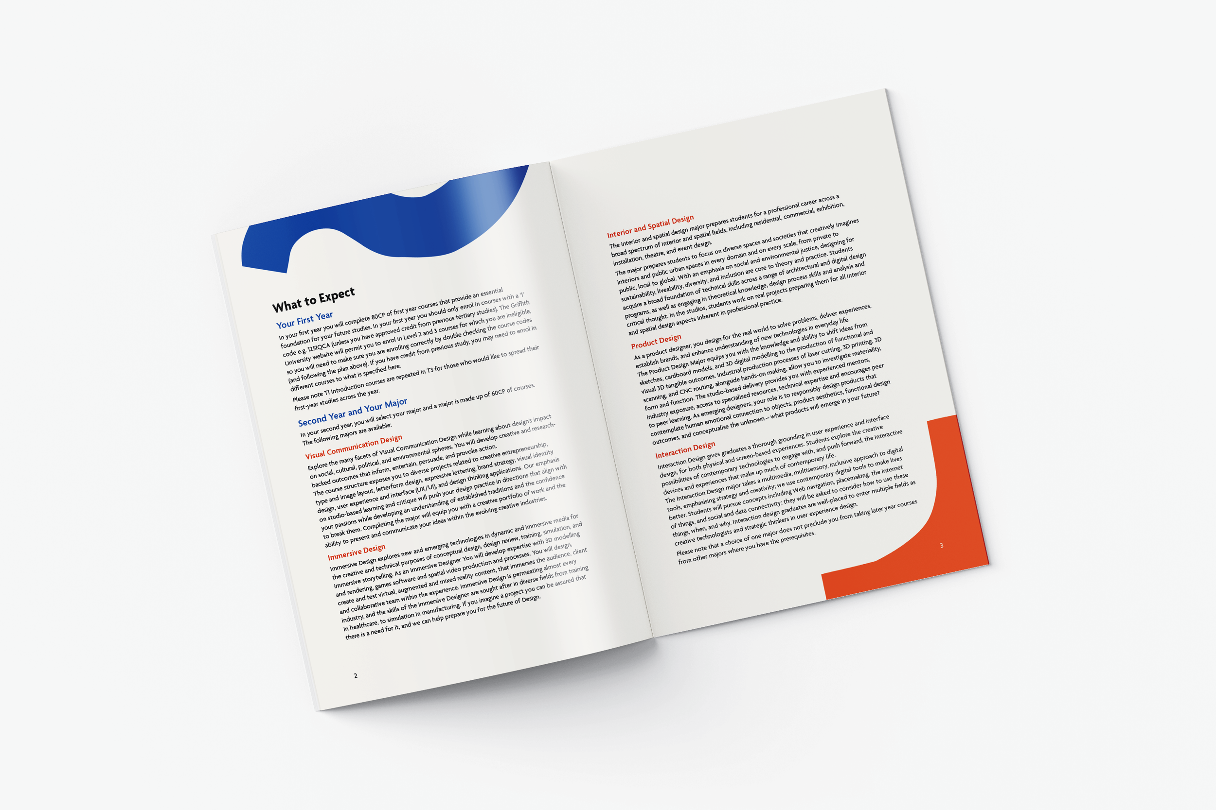 First Year Handbook concept