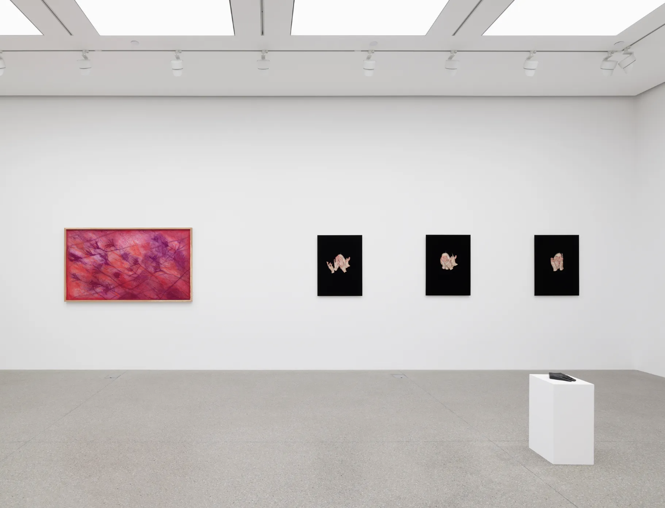 Screenshot 2026-02-16 at 14.48.57.png