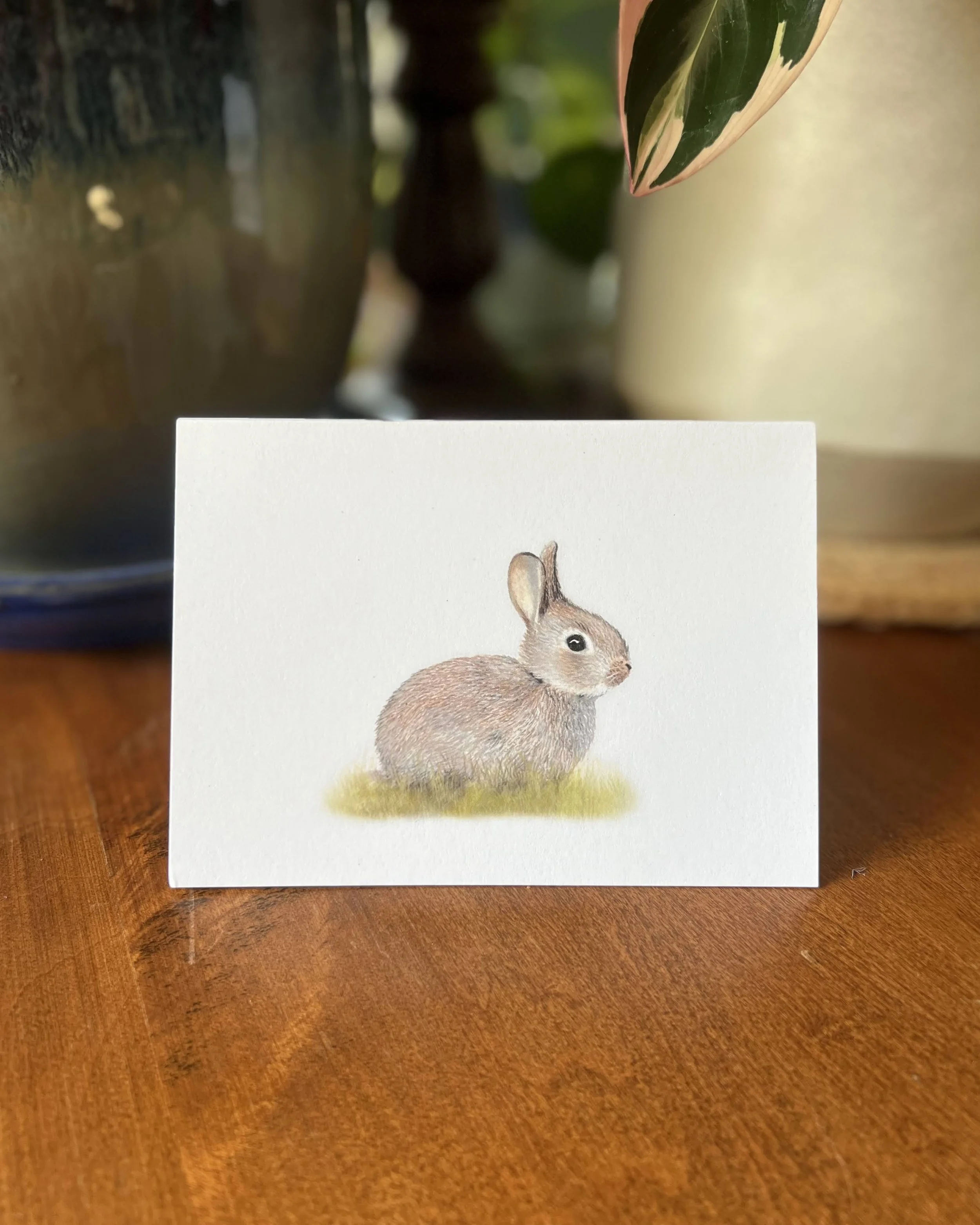 Bunny Card.jpeg
