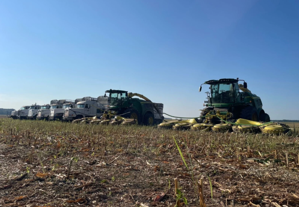 Farm field with two large harvesters and a line of five trucks parked in the background under a clear blue sky.