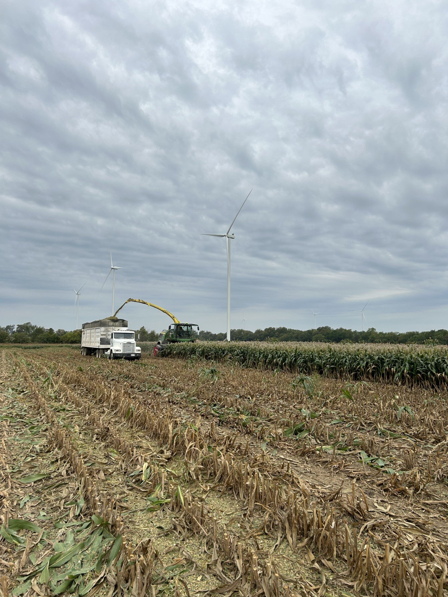 A farmland with dry, harvested crops, wind turbines in the background, and a cloudy sky, with a tractor and a truck working on the field.