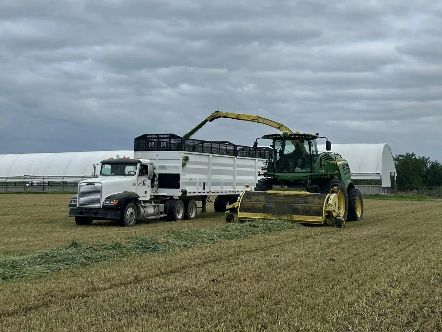 A large green and black tractor with a yellow roller attachment is cutting grass in a field, while a white truck with an open bed is nearby, used to collect the cut grass. There are large farm buildings and a cloudy sky in the background.