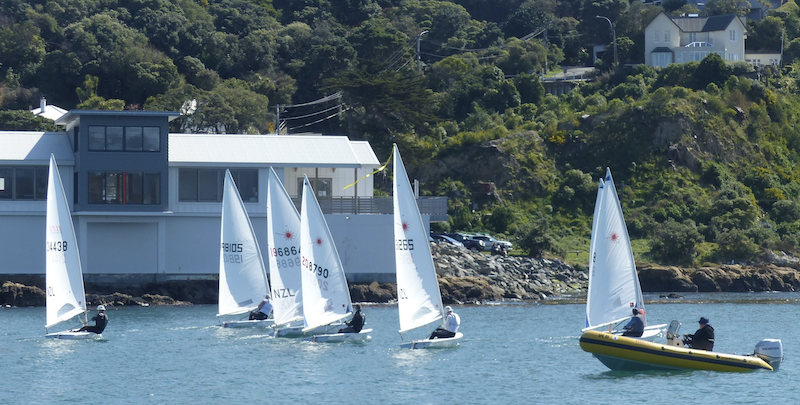 Wellington's Laser 50th Birthday