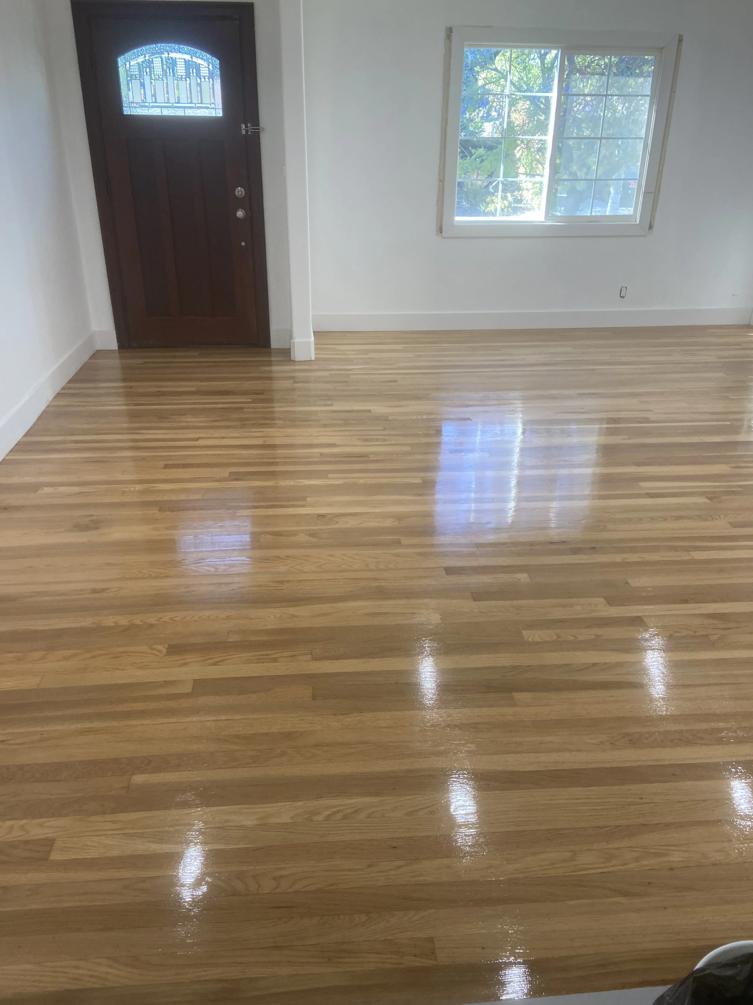 Empty living room with hardwood flooring, a window with view of trees, and a wooden front door.