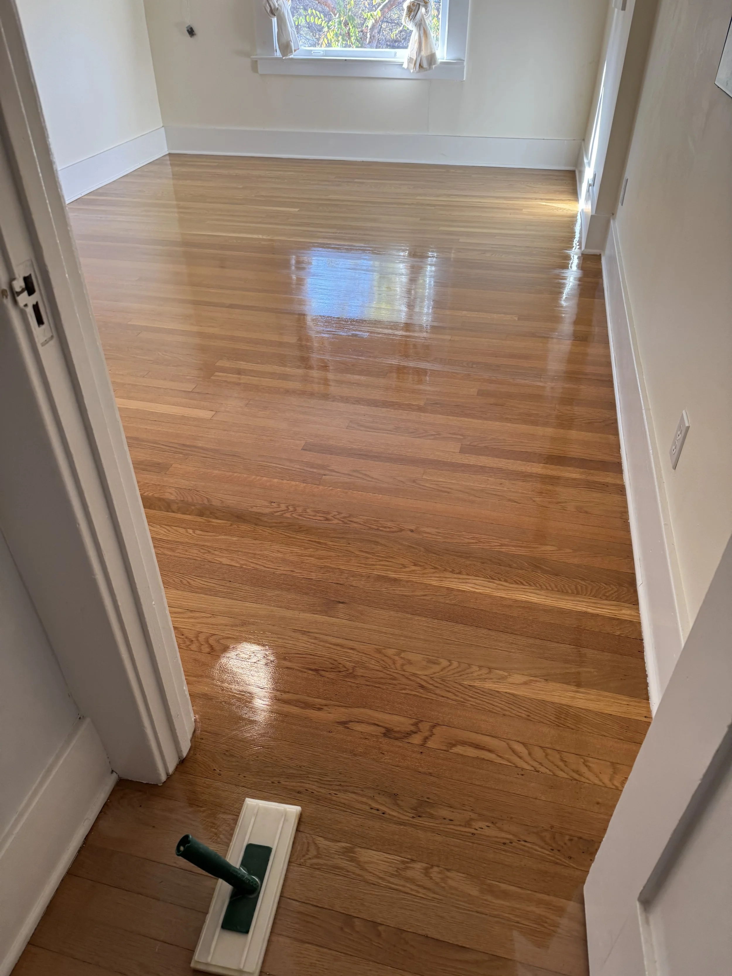 Room with newly finished hardwood floor, window with curtains, and a small mop on the floor.