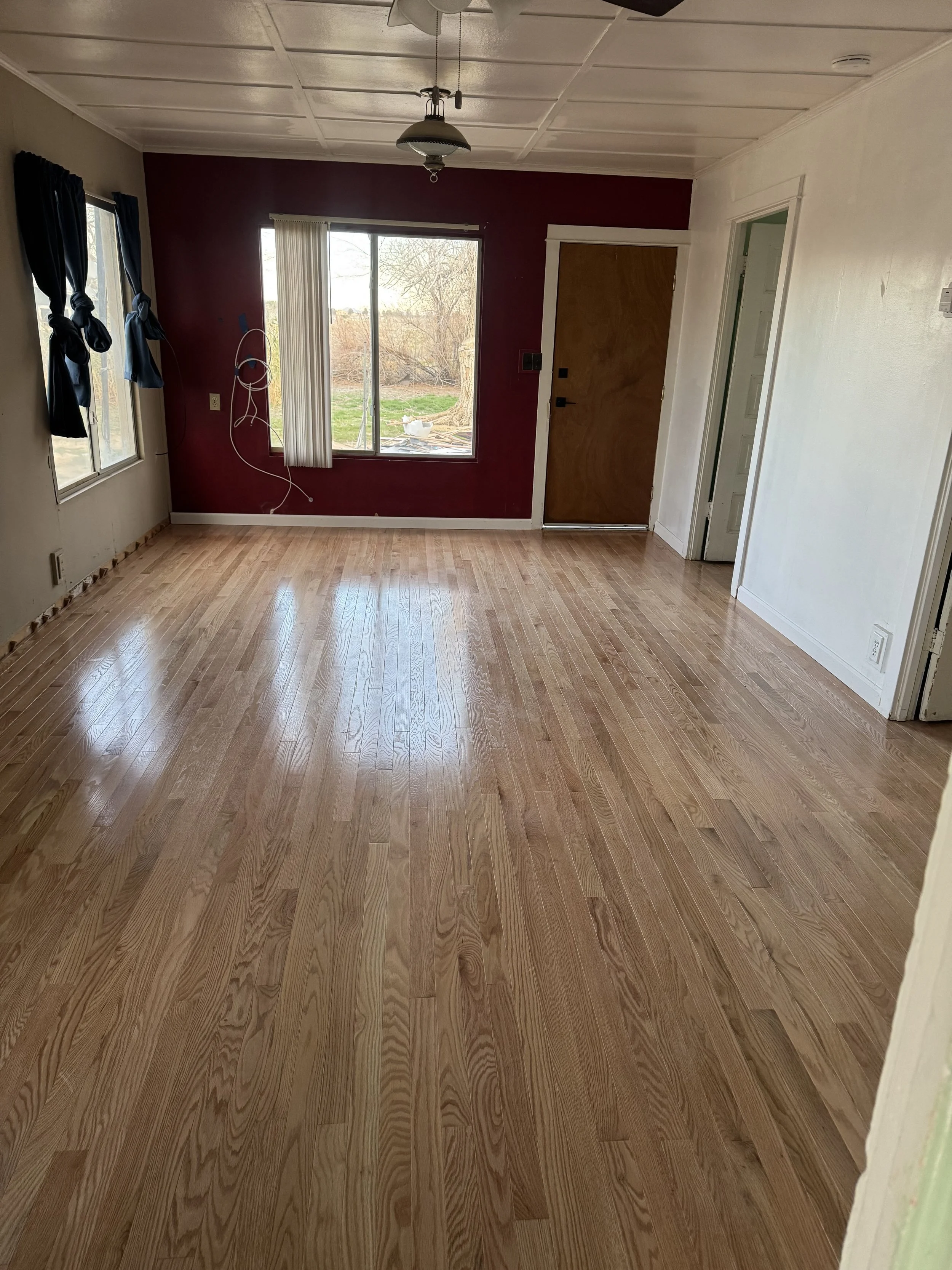 Empty living room with hardwood floors, large windows, a white ceiling with a ceiling fan, and a red accent wall.