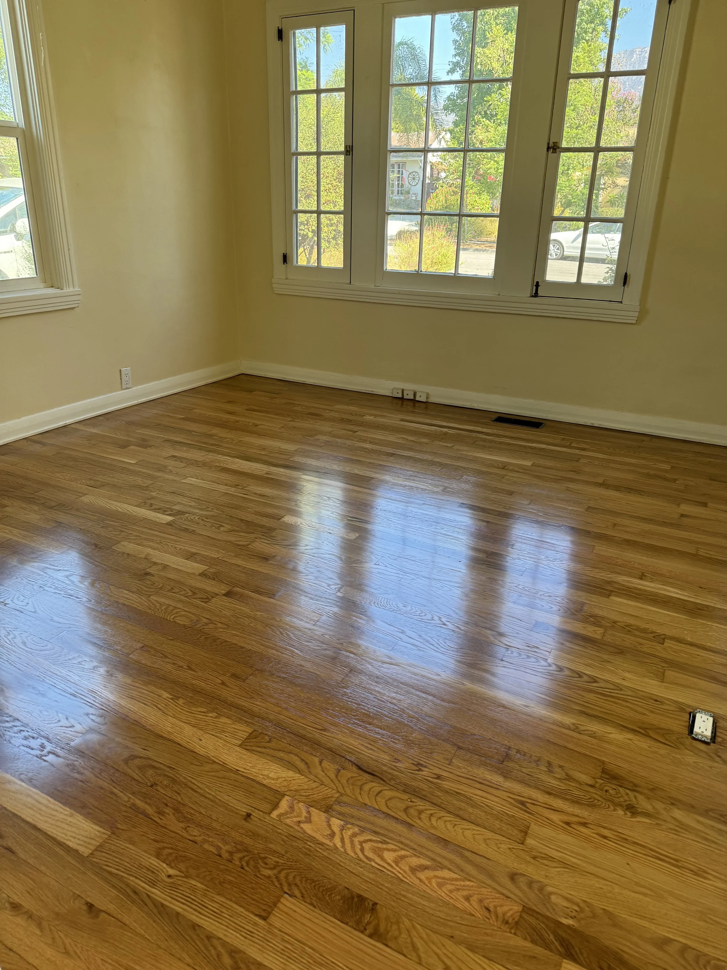Empty room with large windows, hardwood floor, yellow walls, and a white baseboard.