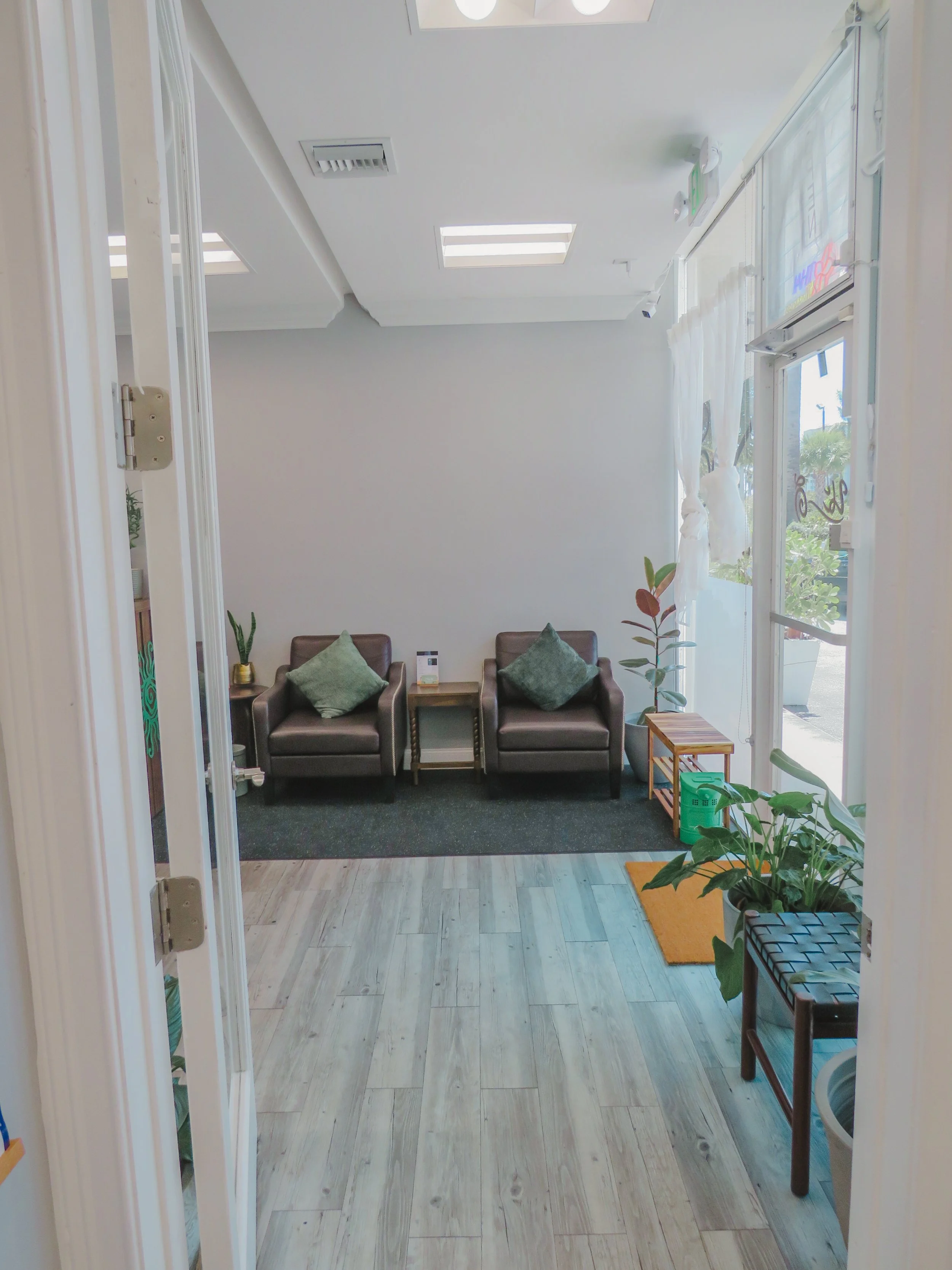 A cozy waiting area with two brown armchairs with green pillows, small side table, indoor plants, entrance door with glass window, white walls, ceiling with skylights, air vent, and curtains.