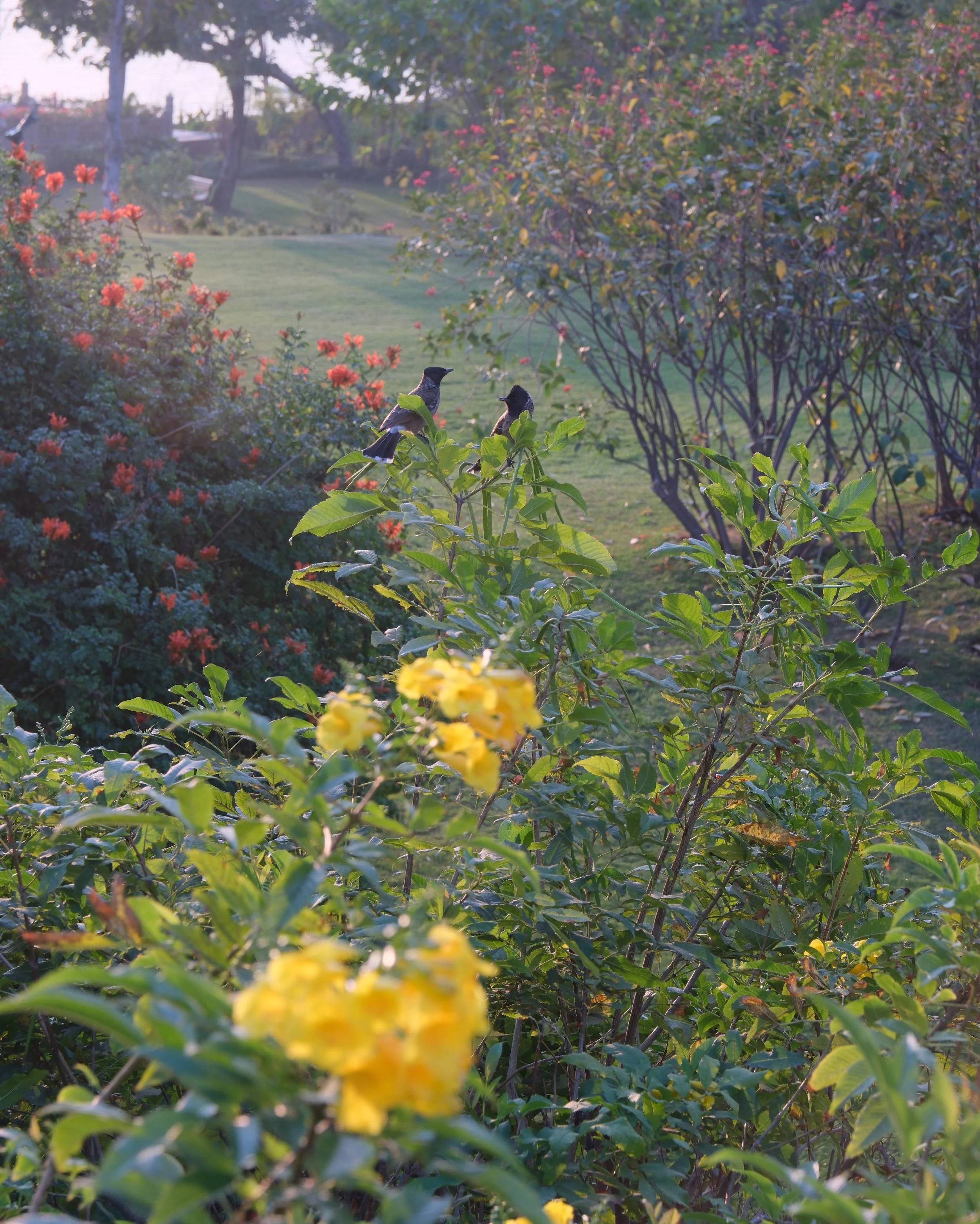 Stress Management Strategies: Lifestyle Habits for Better Mental Wellness