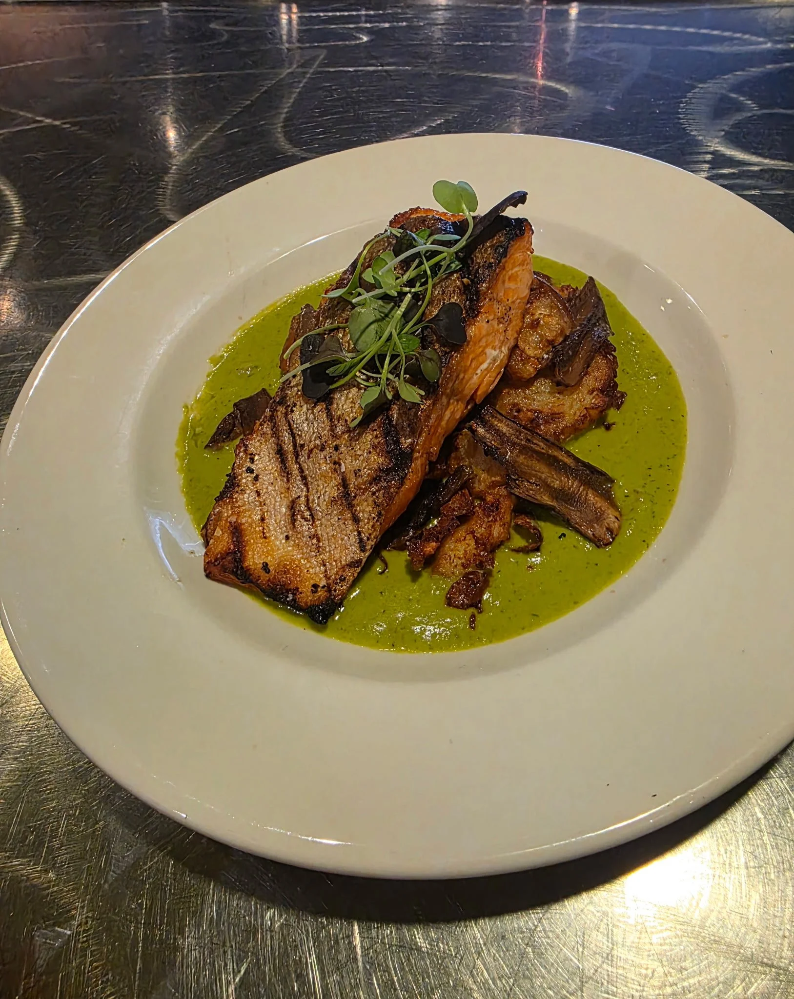 Steelhead Trout.JPG