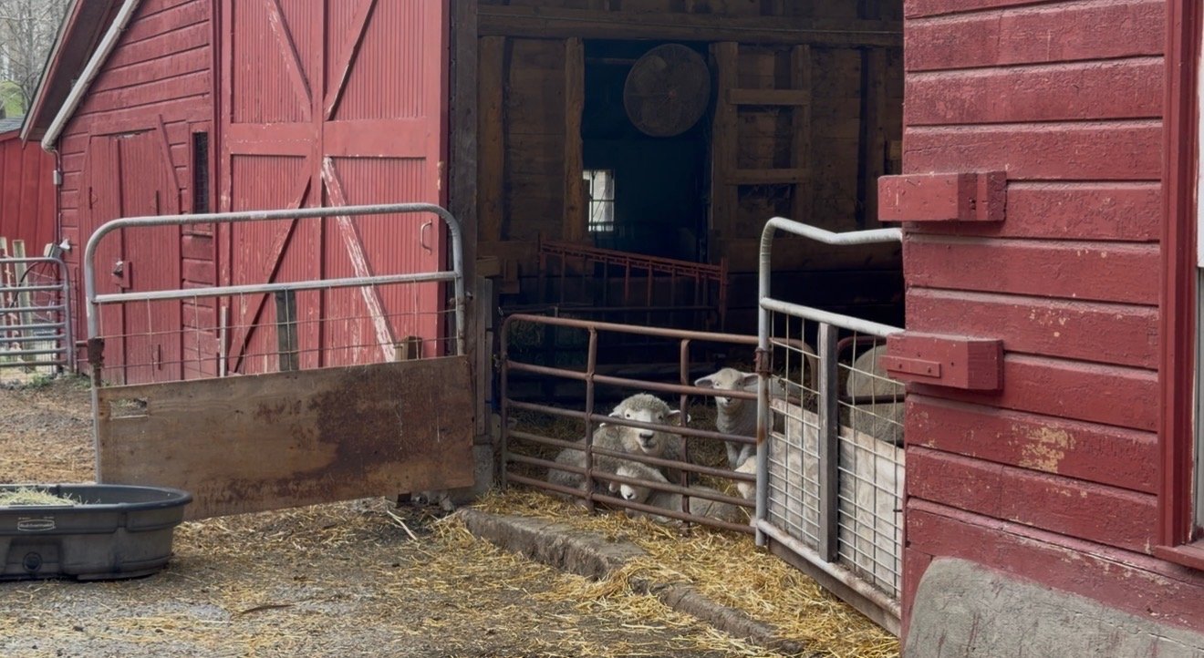 Slow Cozy Living Farm .jpeg