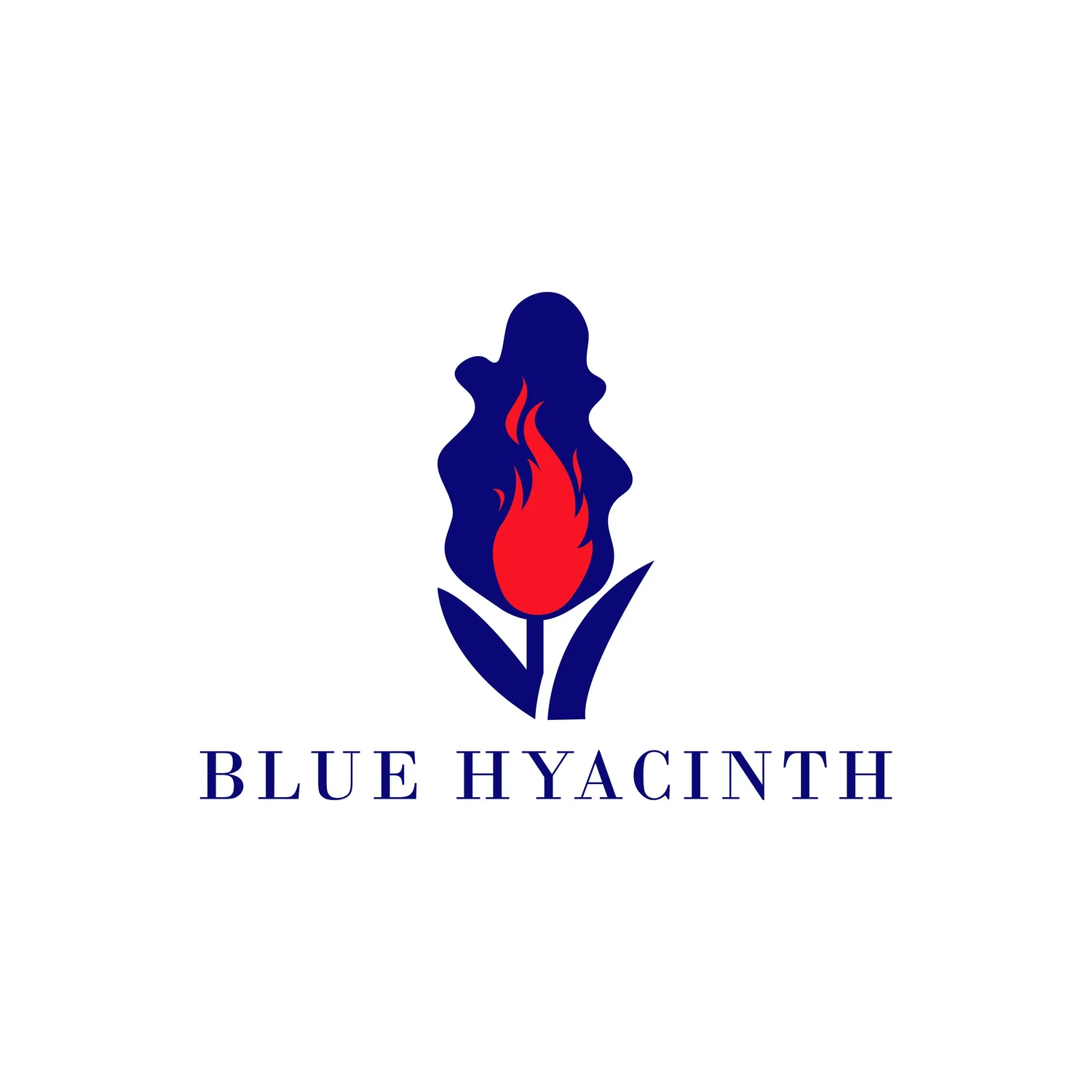 Blue Hyacinth Investments