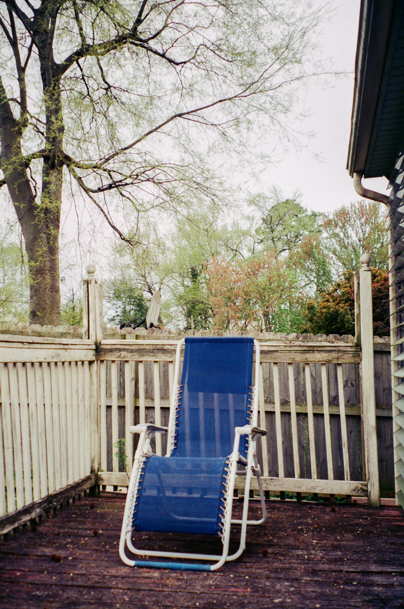 Silla de descanso azul en una terraza de madera, con un fondo de árboles y cielo nublado.