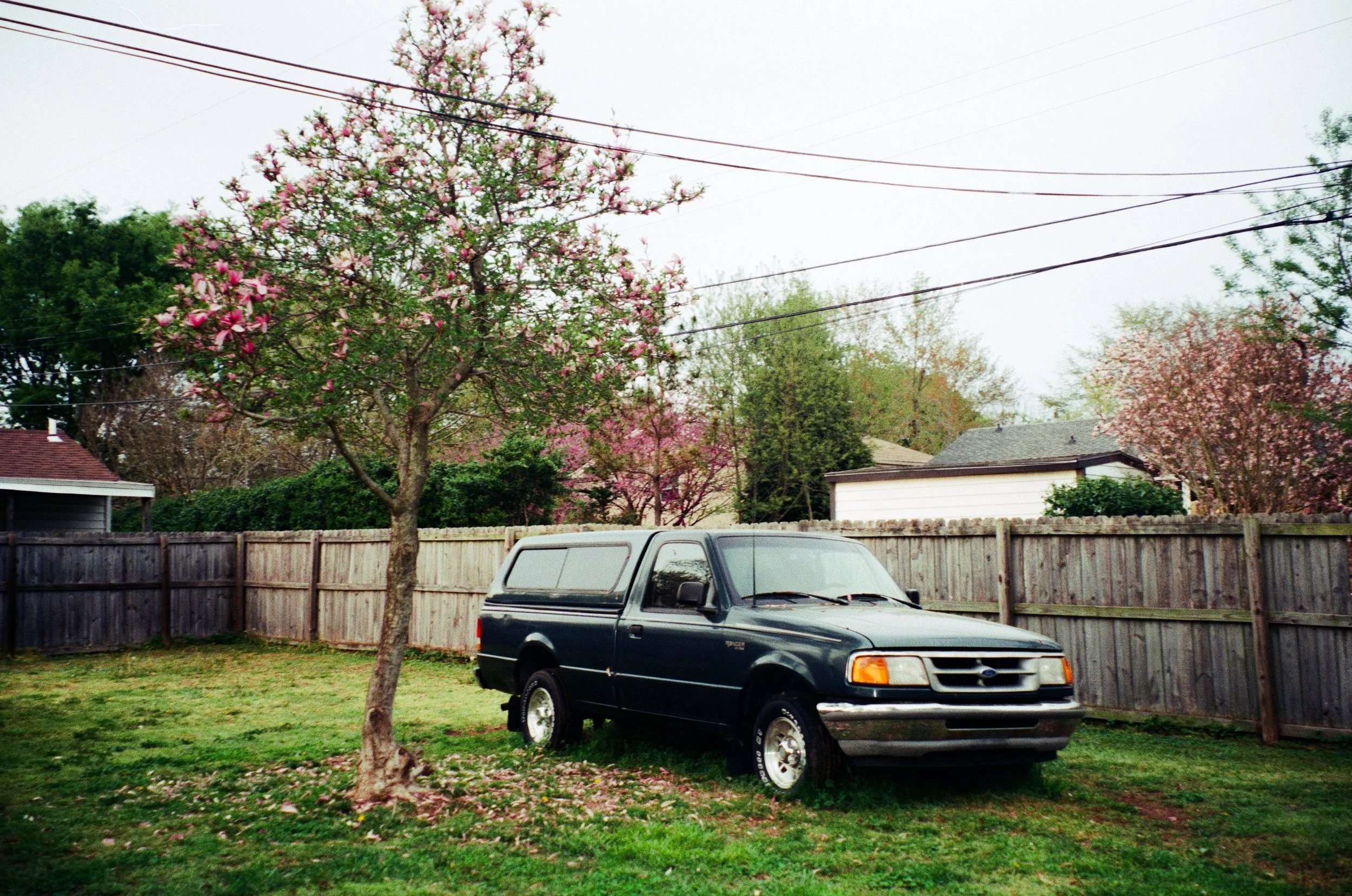 Cochera en un patio con un árbol de flores rosadas y un automóvil Ford azul oscuro.