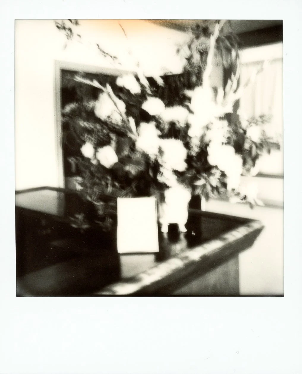 Erica & Gus Polaroids20230516_01.jpg