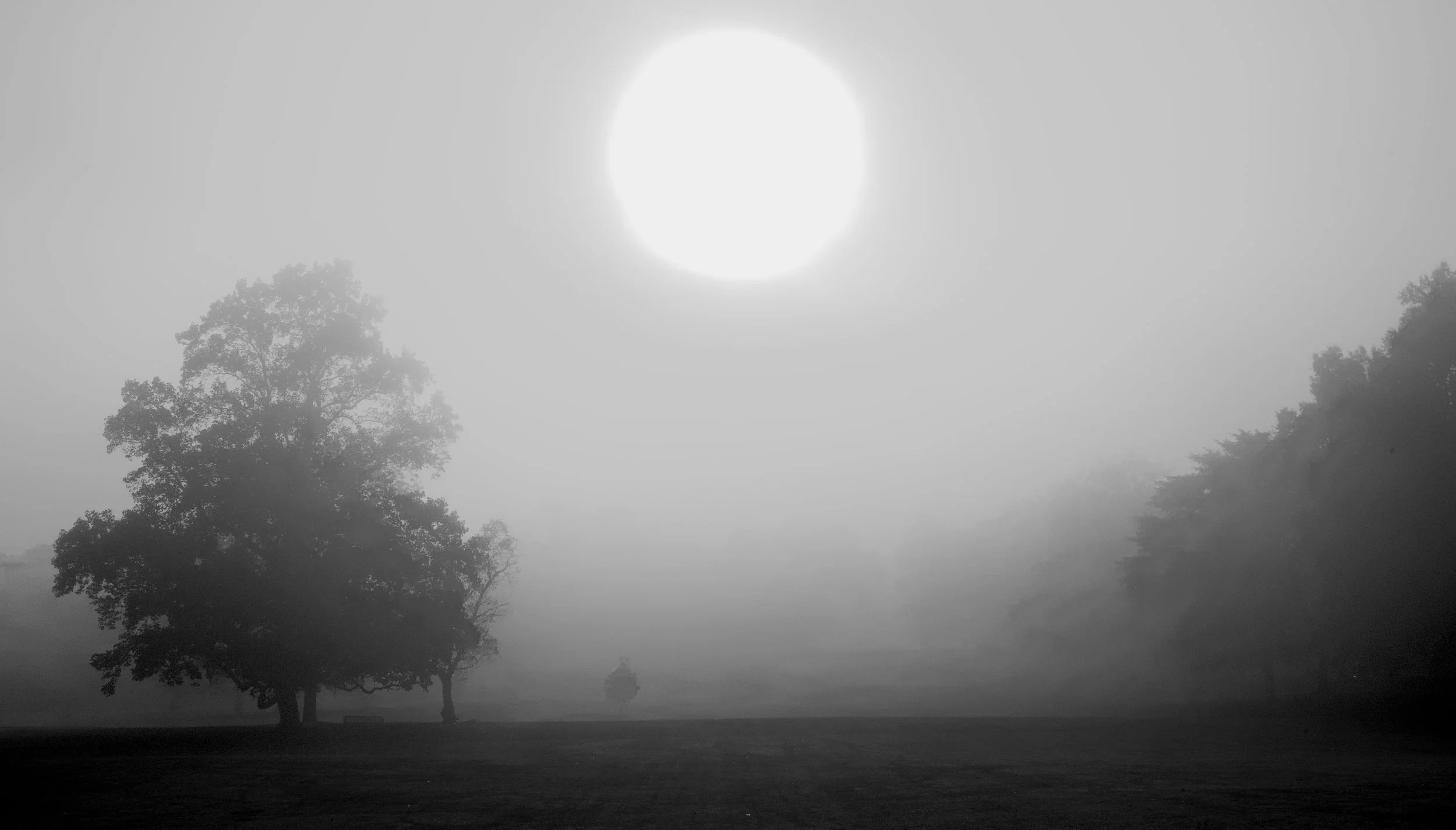 Haze in Rockford Park