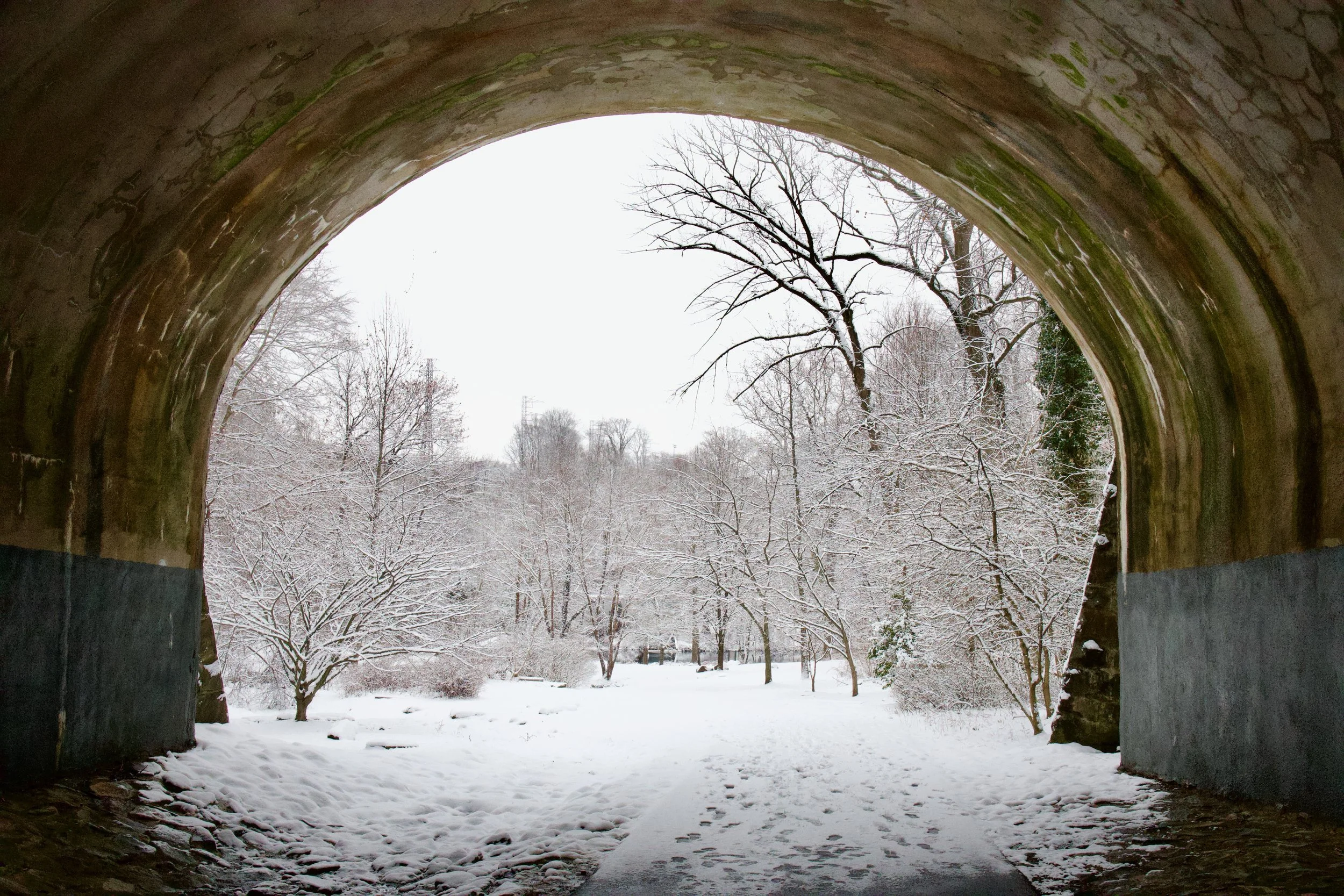 Snowy Tunnel in Brandywine Park