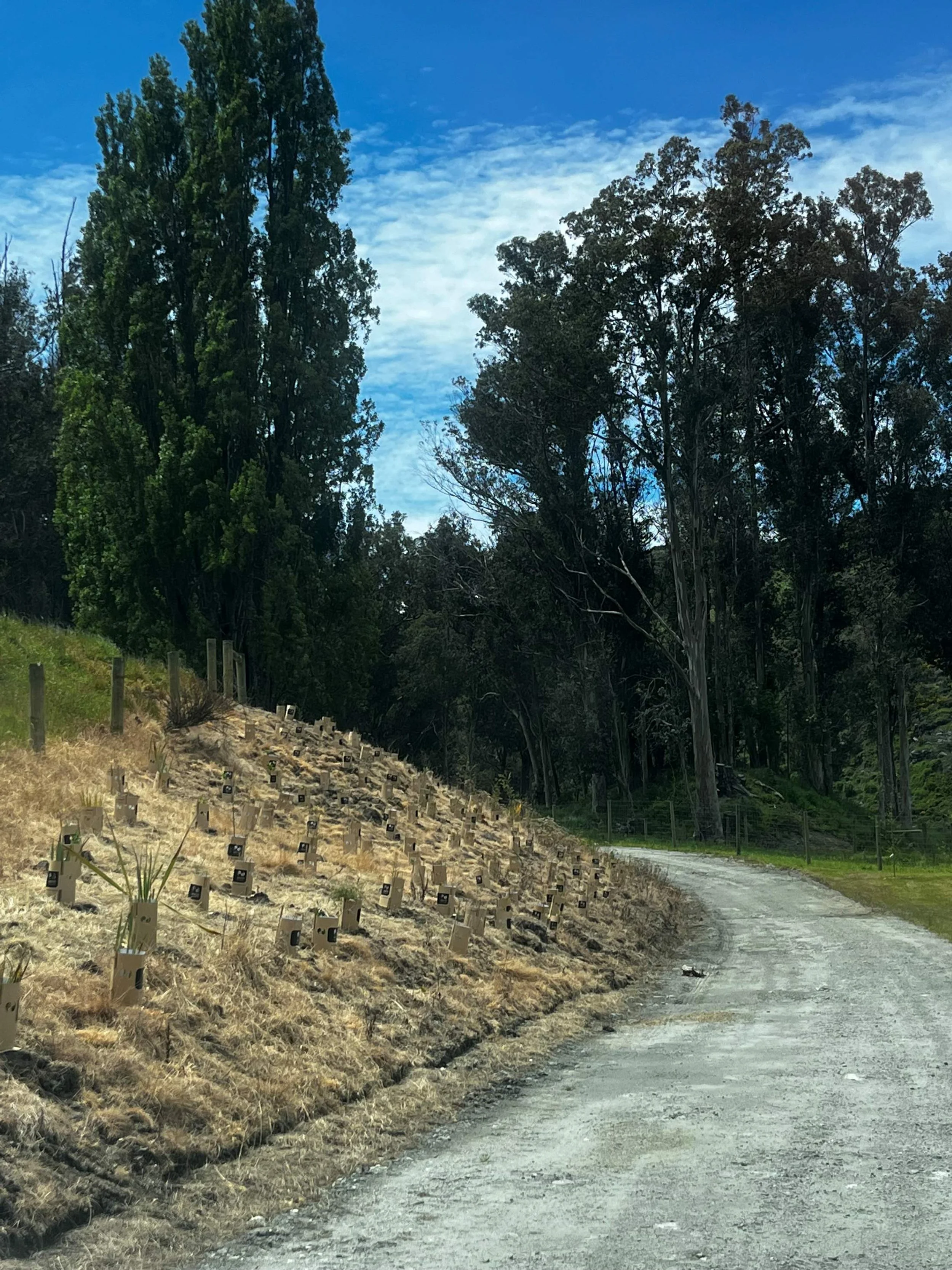 EnviroGuards at Minaret Station