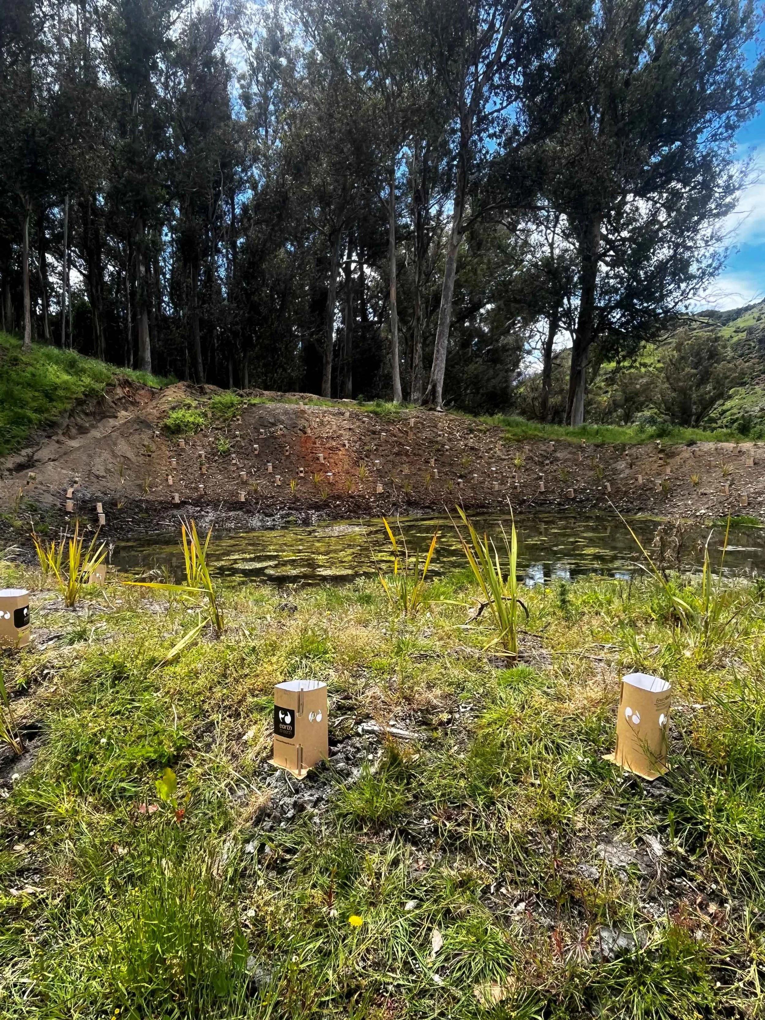 Guarding only whats nessicary