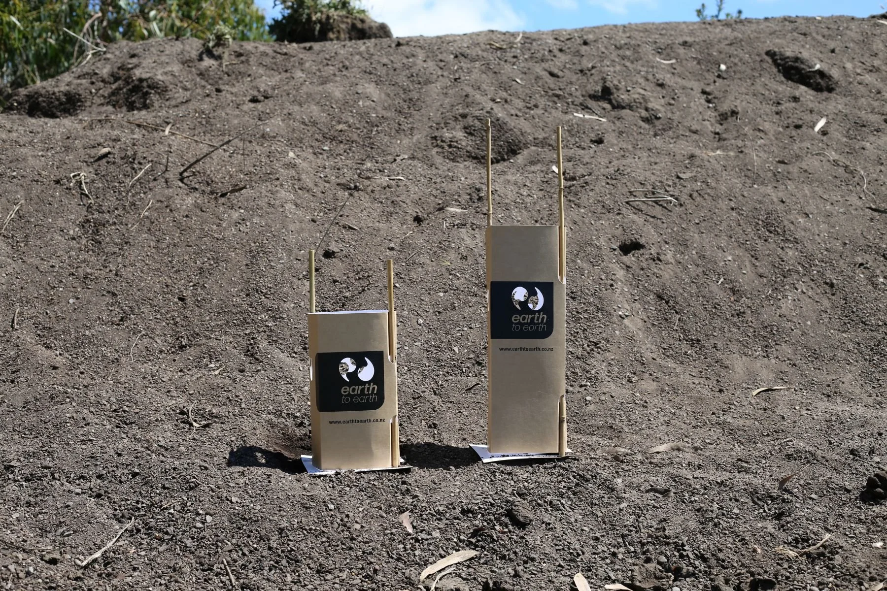 Choosing the Right Plant Guard Height: 300mm vs 450mm