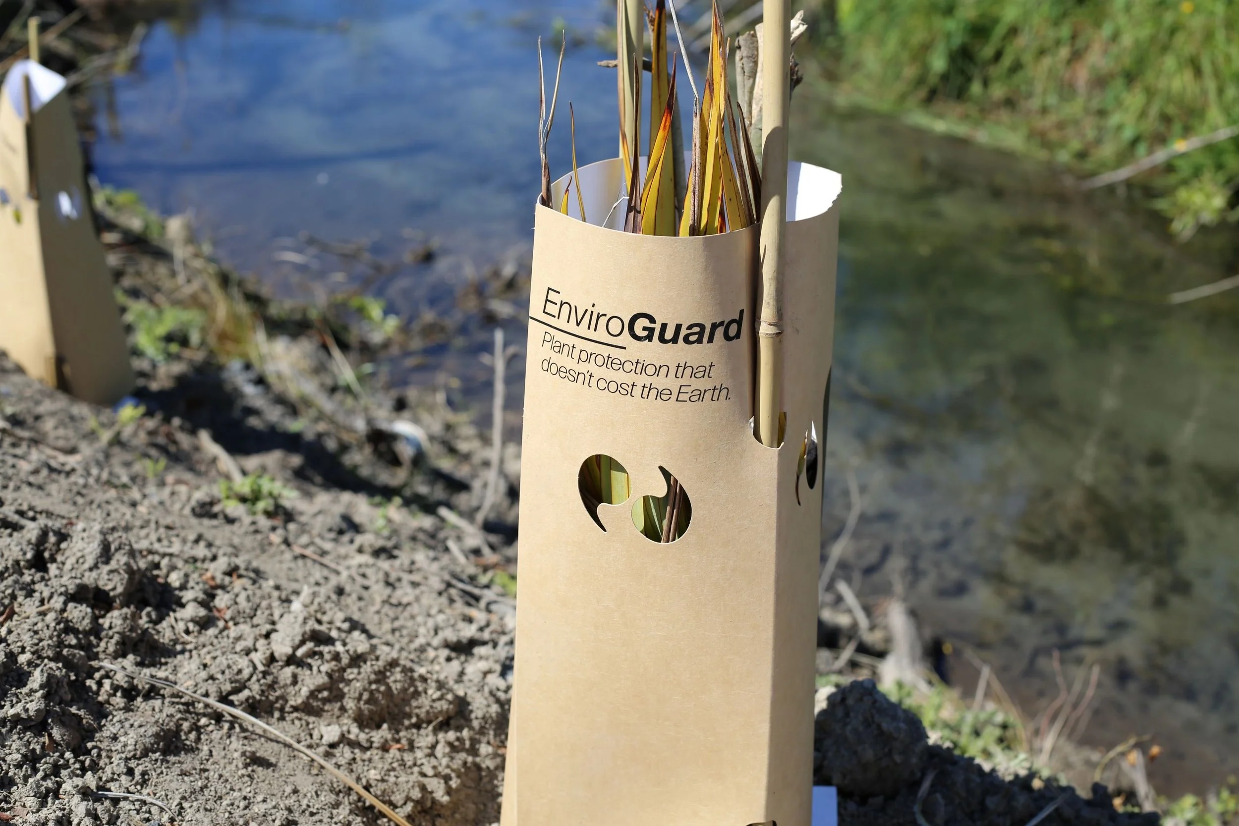 How to Protect Native Plants from Hares &amp; Rabbits