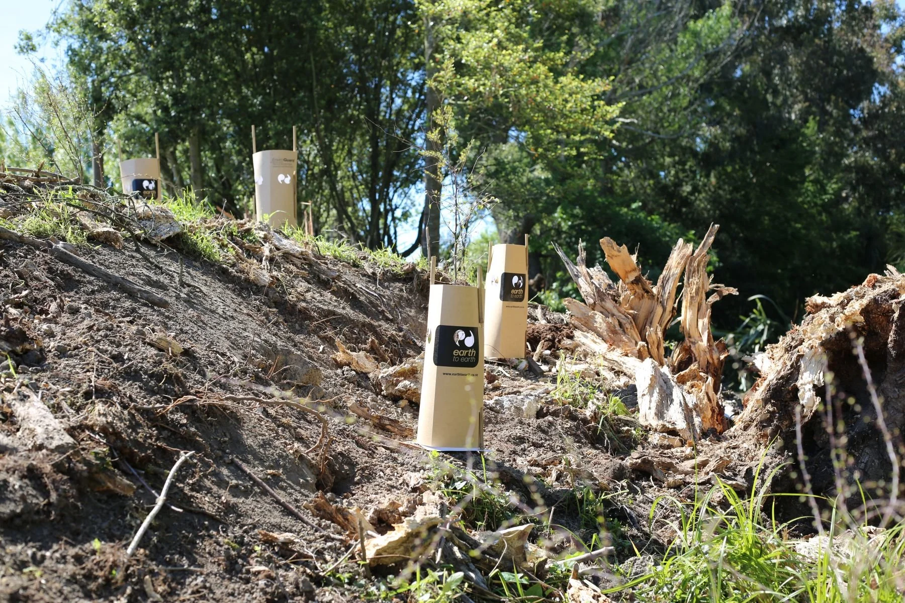 Several small plant markers labeled 'earth to earth' placed in soil on a hillside, with patches of grass and a large tree trunk in the background.