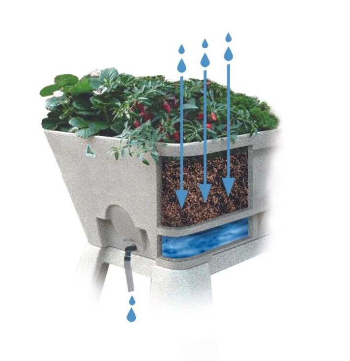 Cross-section of a planter box showing soil, water, and plant roots, with arrows indicating water flow and excess water drainage.
