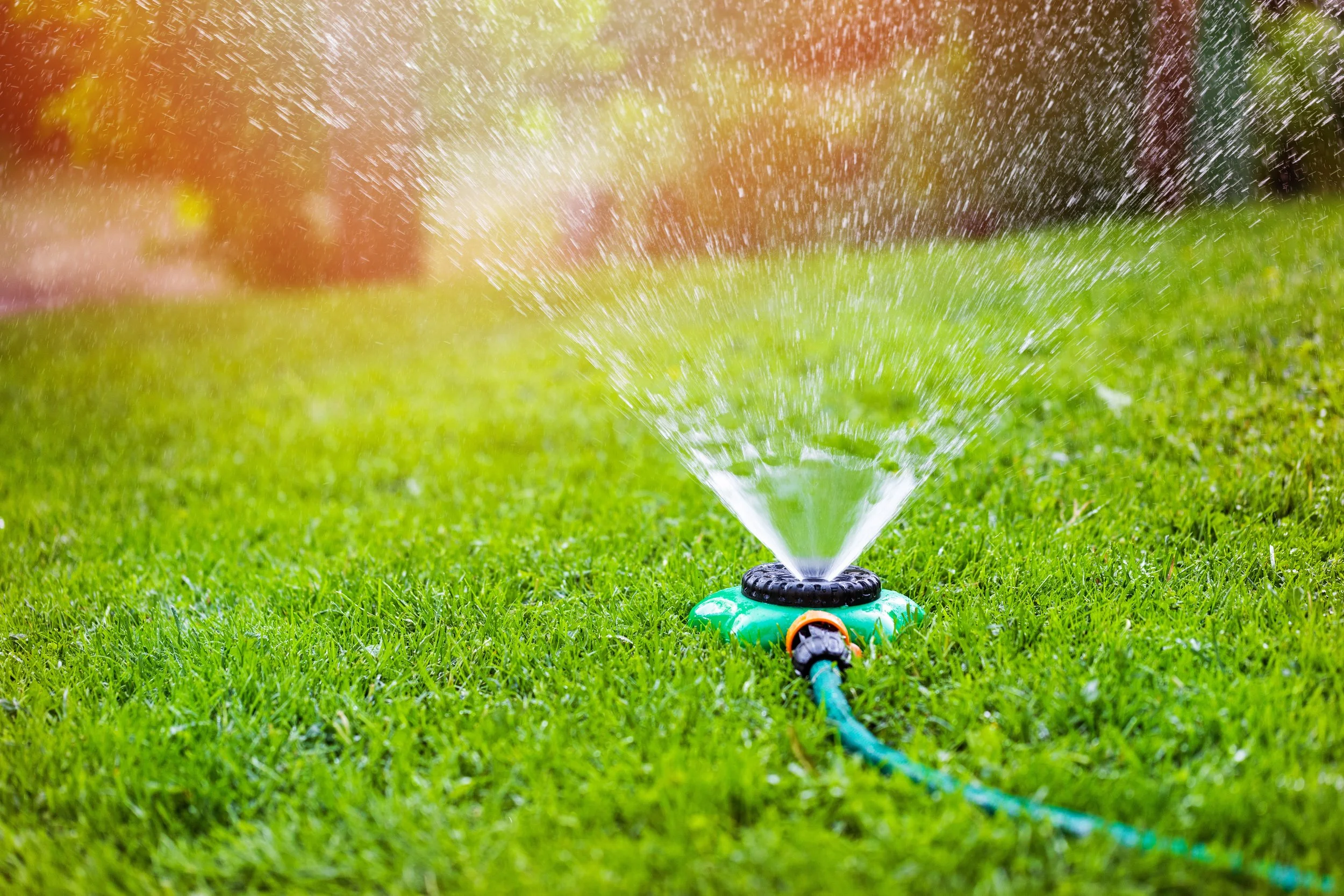 A backyard sprinkler watering green grass on a sunny day.