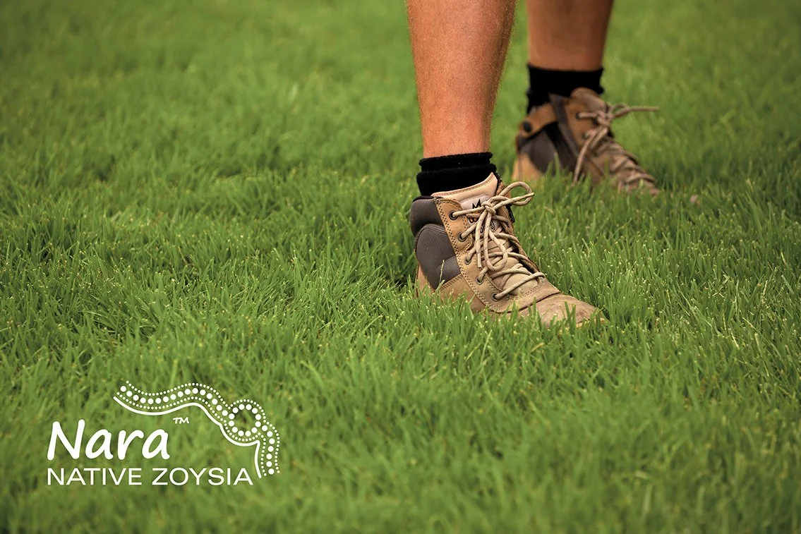 NARA_NATIVE_ZOYSIA_01_with_logo_web.jpg