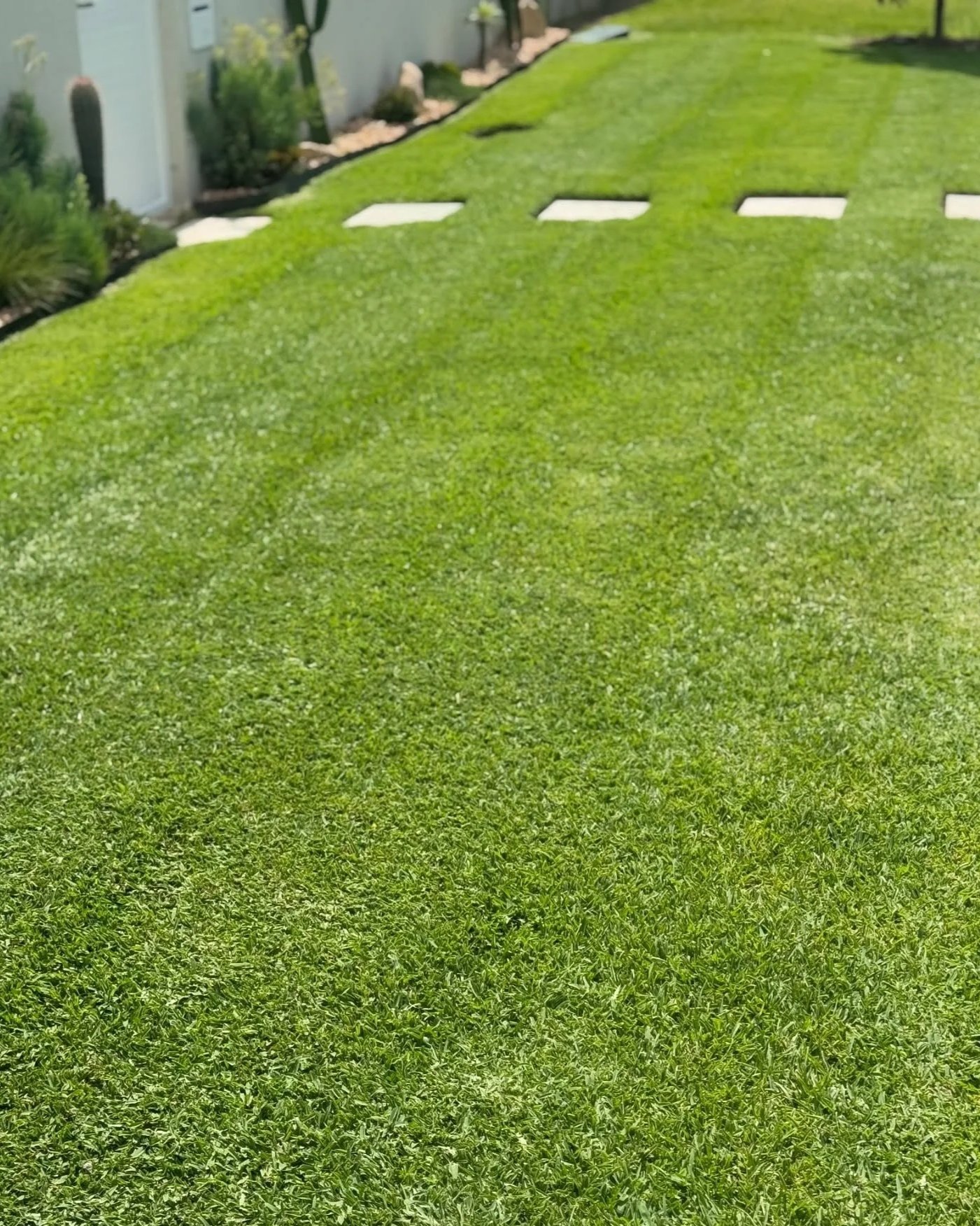 475521837_17853672675380278_5615681269048906480_n.jpg