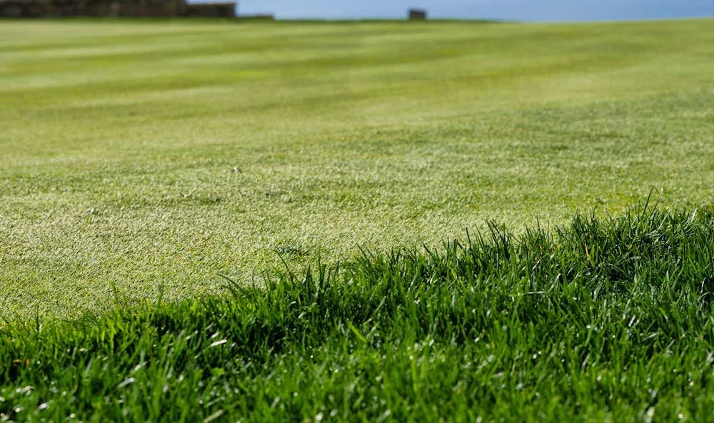 Turf vs Pavers Cost: Why Artificial Grass and Natural Turf Are Cheaper Alternatives