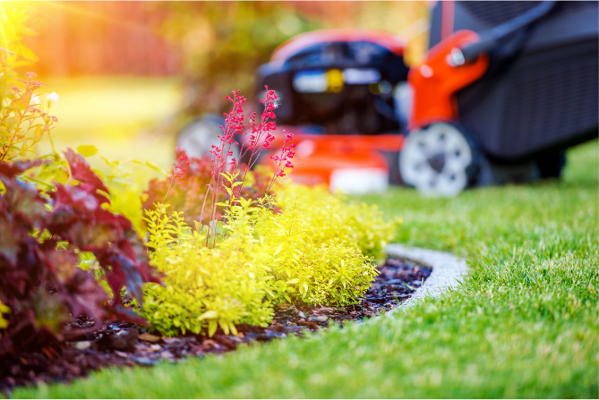 10 Tips For Summer Lawn Care