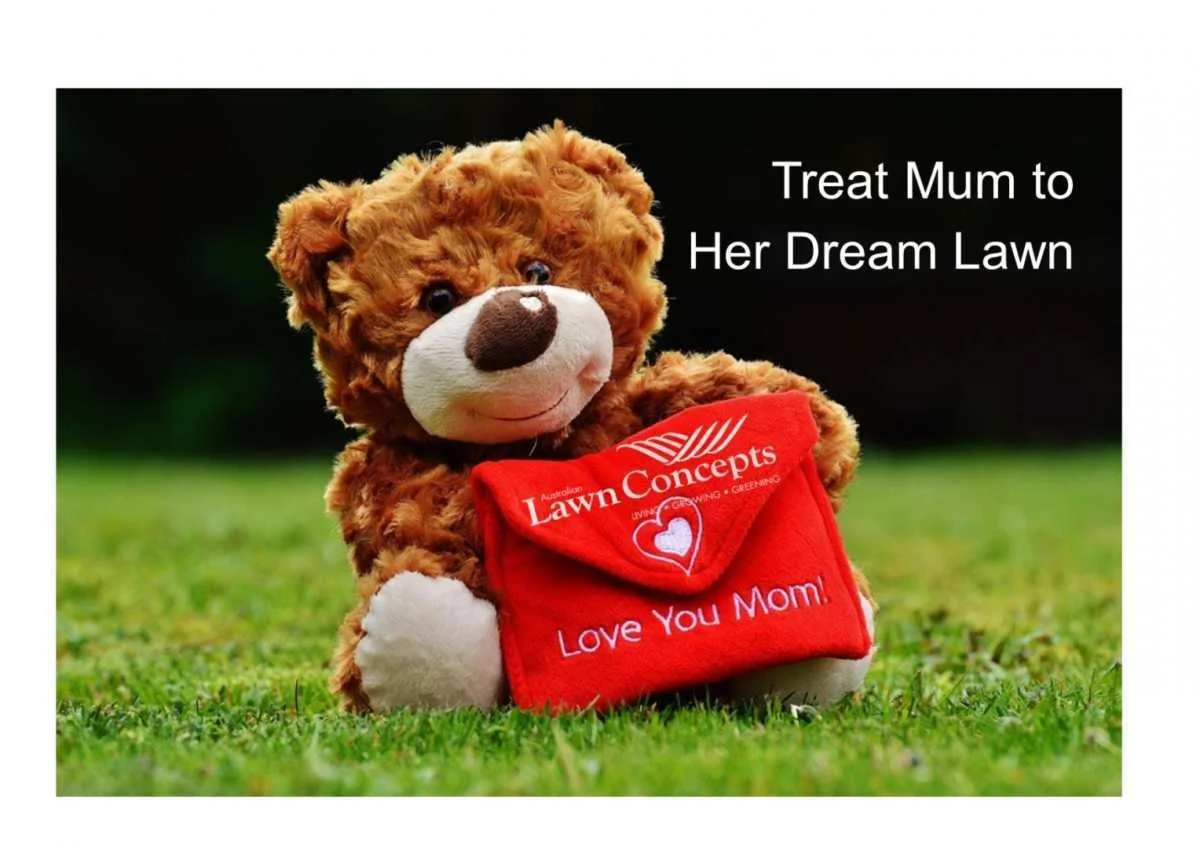 Treat Mum to Her Dream Lawn