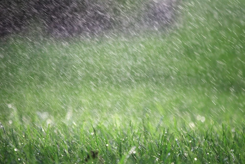 Different Turf for Queensland's Climates