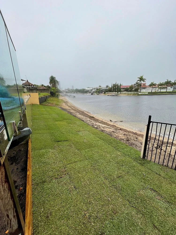 5 Things You Need To Know About Empire Zoysia Turf