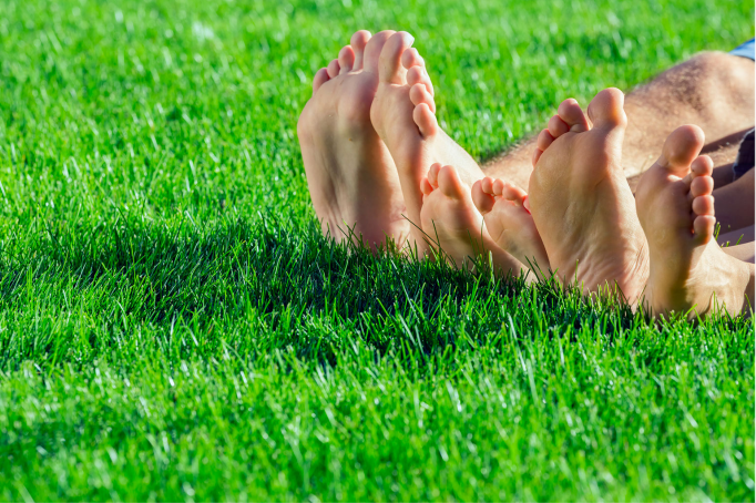 How to choose the best turf