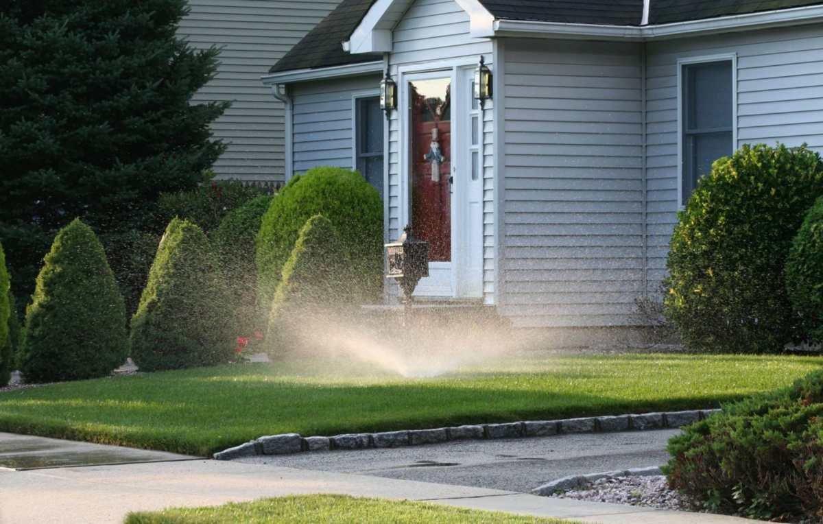 The importance of watering your grass during summer