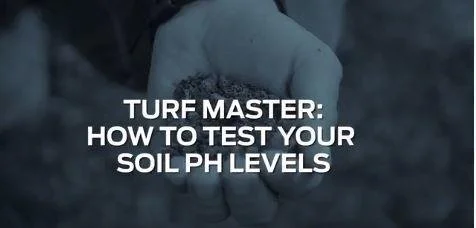 Check your pH levels. Watch this video to see how to make your soil perfect for Spring
