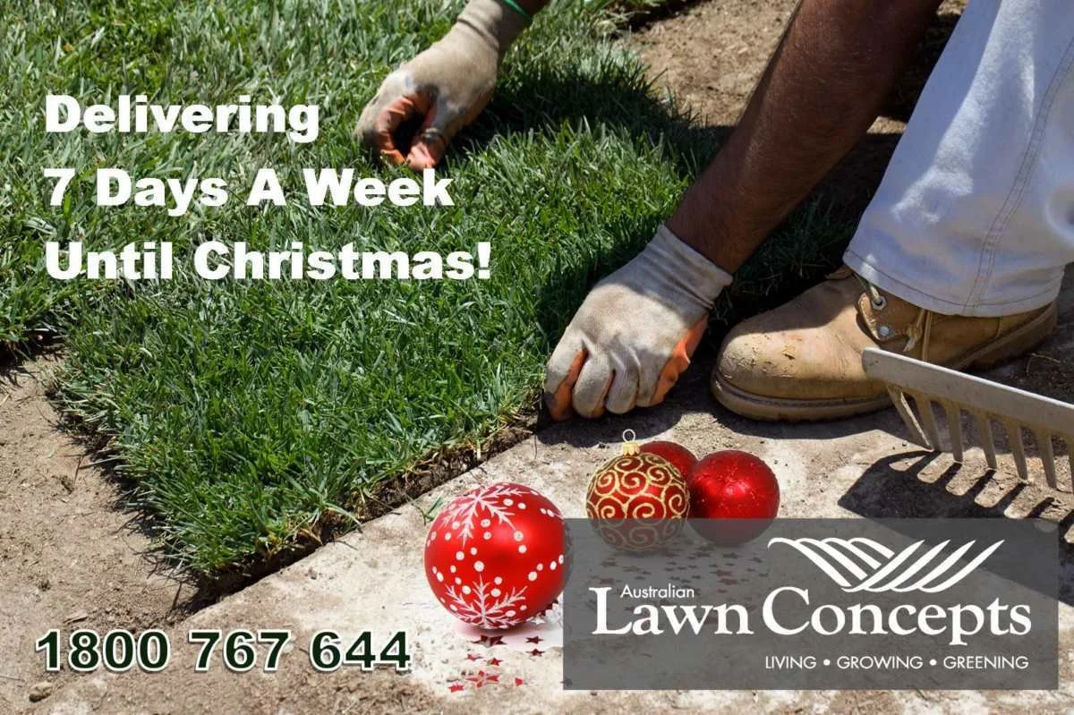 Delivering 7 Days A Week Until Christmas!