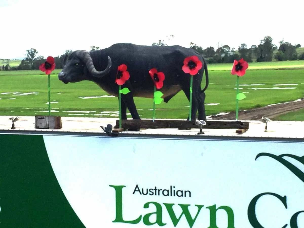 We Remember